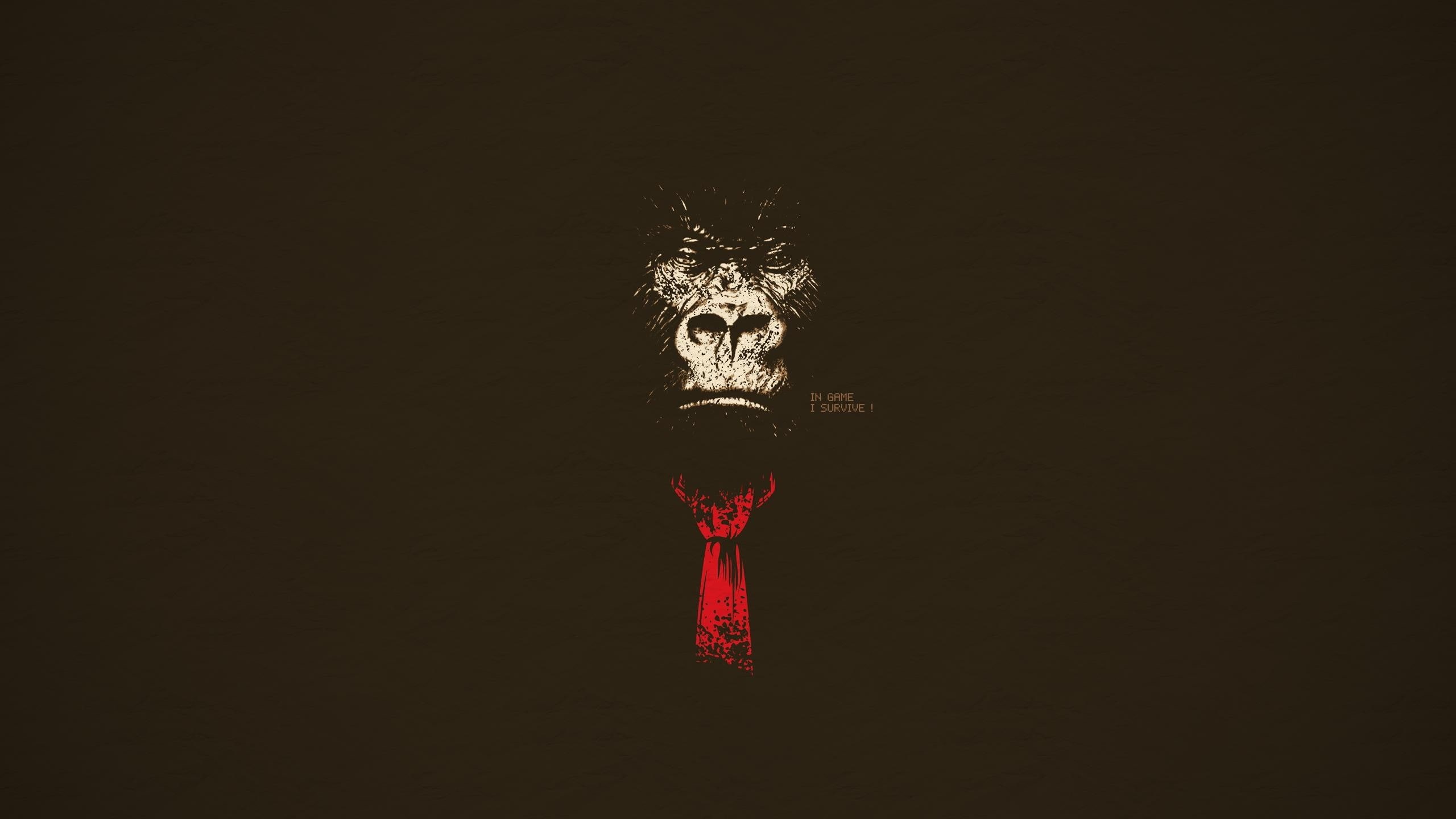 Donkey Kong, 2K, minimalism, dark, HD Wallpaper