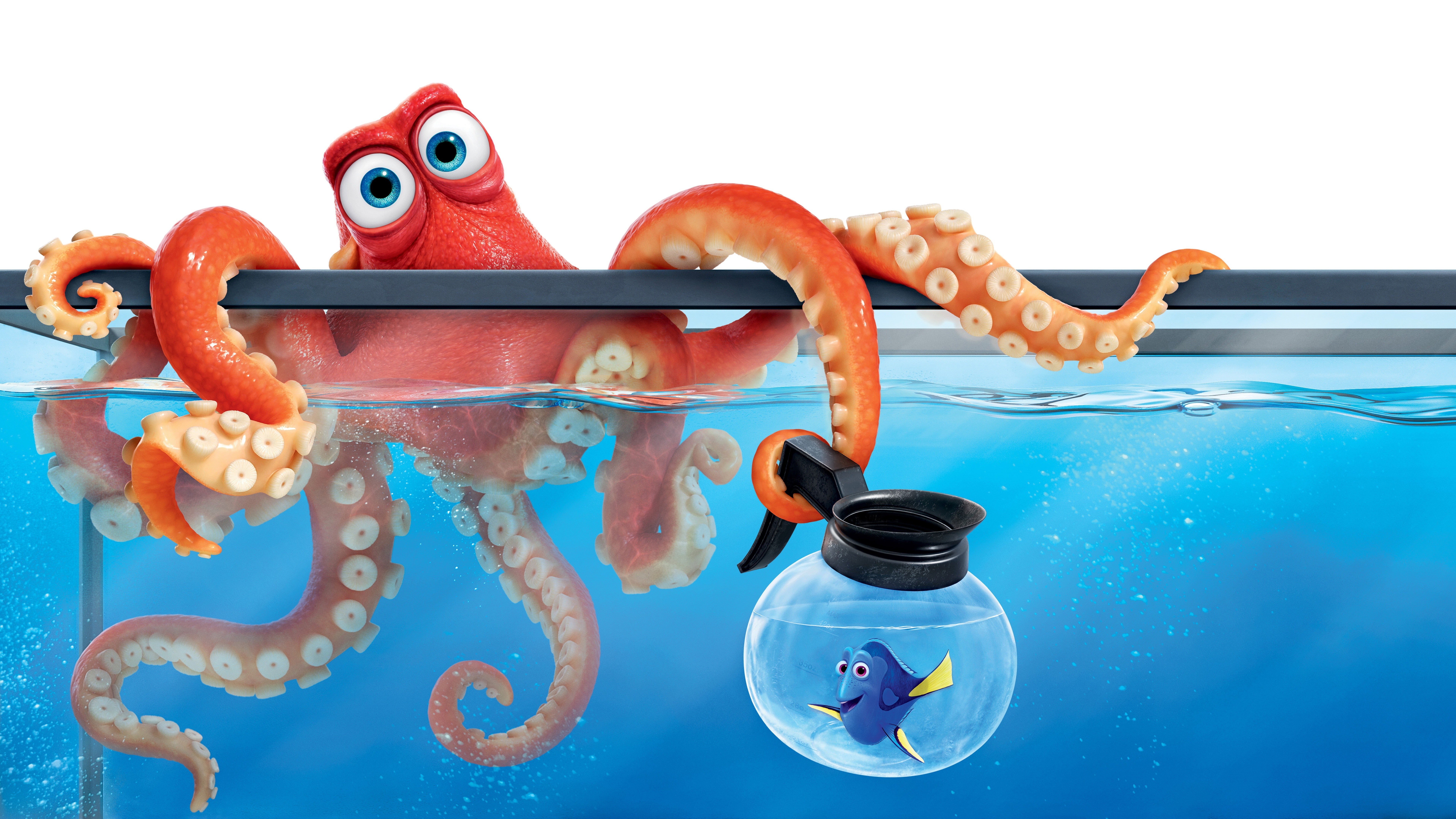 8K, fish, octopus, 8k, water, HD Wallpaper