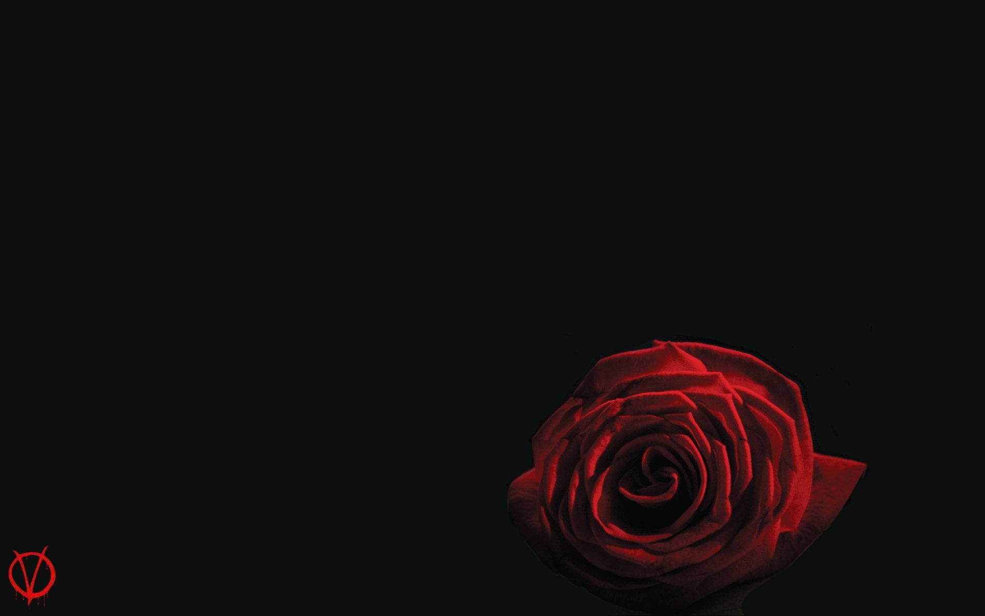 valentines day - holiday, no people, beauty in nature, dark, Movie, 1080P, cut out, studio shot, plant, red, indoors, V For Vendetta, illustration, rose - flower, HD Wallpaper