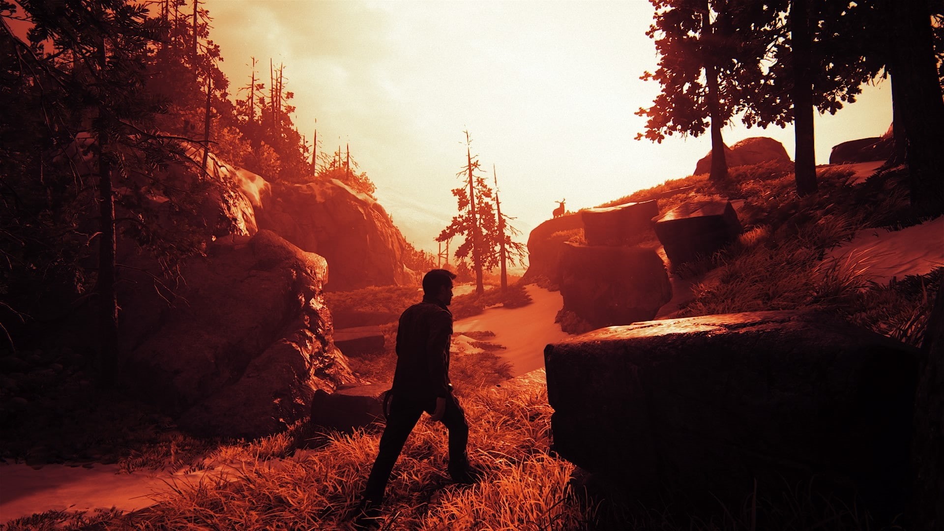 silhouette, one person, sunset, sunlight, travel, rock, outdoors, full length, video games, scenics - nature, land, Nathan Drake, 1080P, rock - object, HD Wallpaper