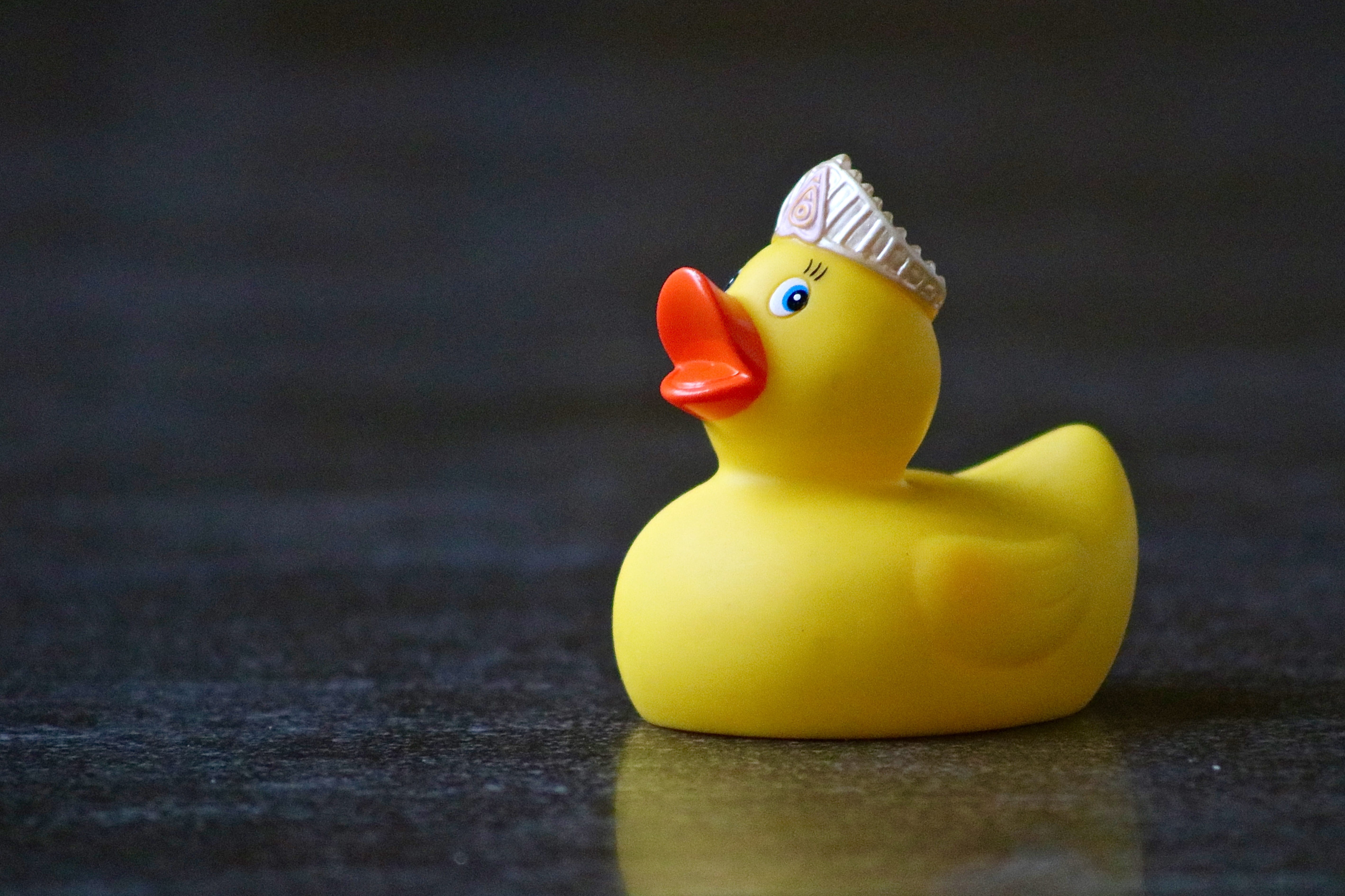 sweet, yellow, creativity, toys, close-up, single object, fun bathing, representation, still life, livestock, quietscheente, princess, rubber duckies, bird, HD Wallpaper