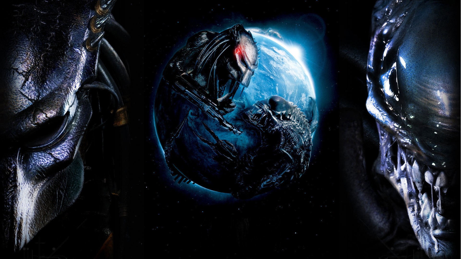 vs, 1080P, predator, alien, HD Wallpaper