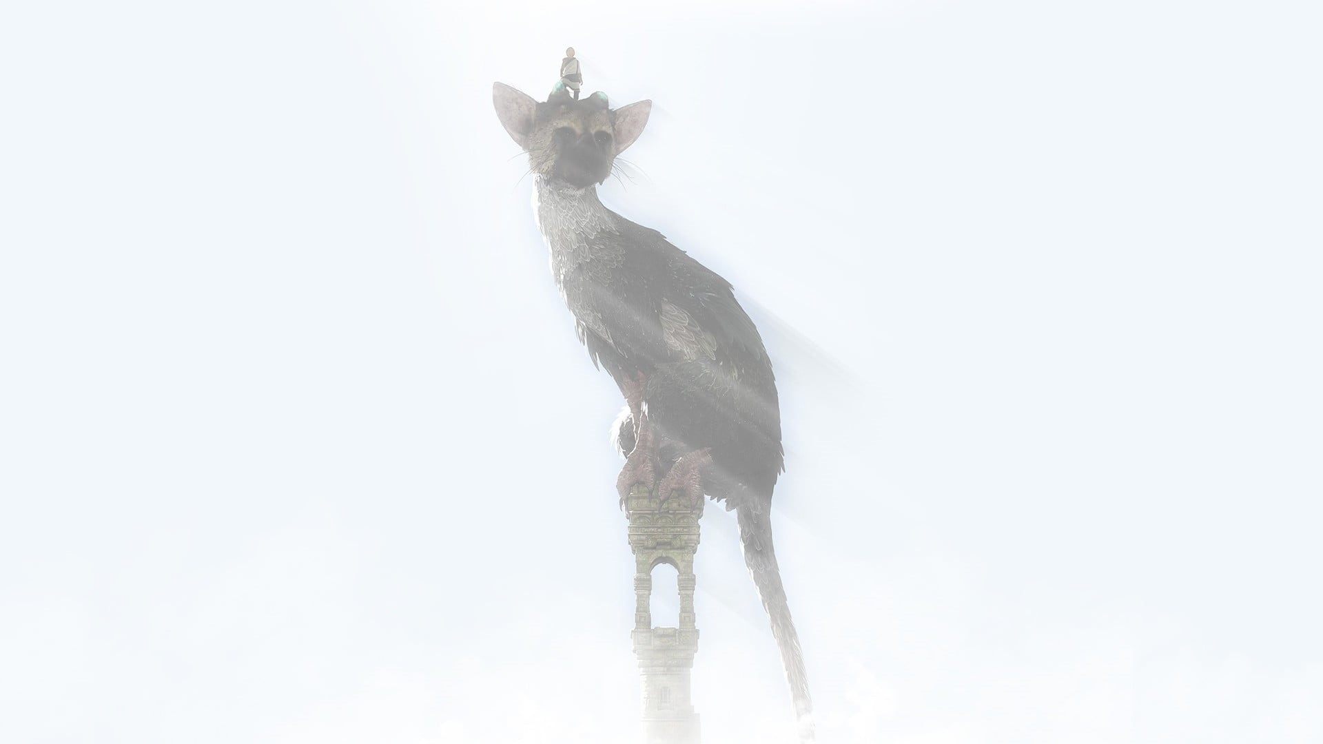 winter, fog, copy space, standing, one animal, full length, PlayStation 4, animal wildlife, bird, Trico, 1080P, last, outdoors, animal, guardian, The Last Guardian, HD Wallpaper