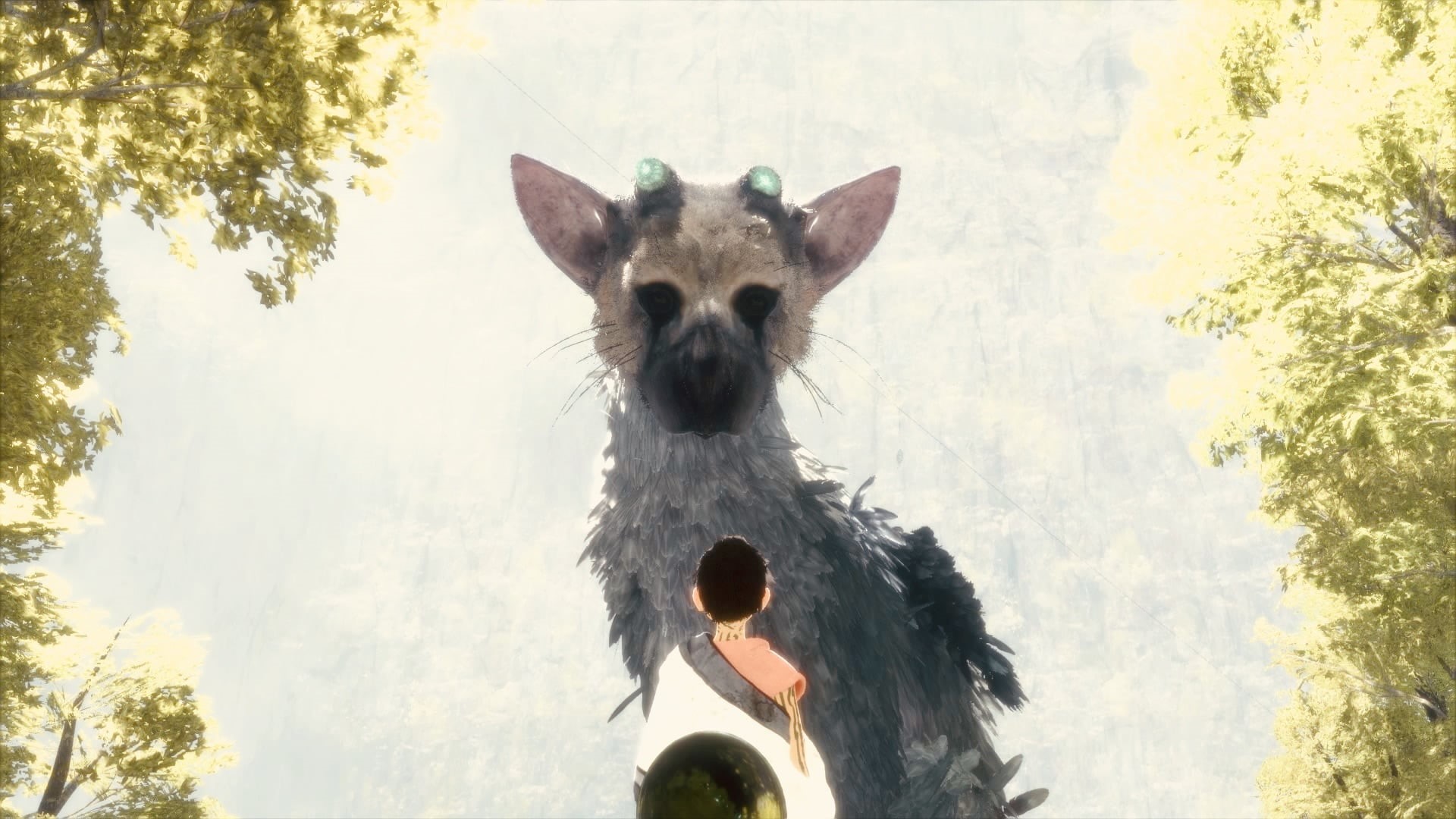 The Last Guardian, 1080P, video games, HD Wallpaper