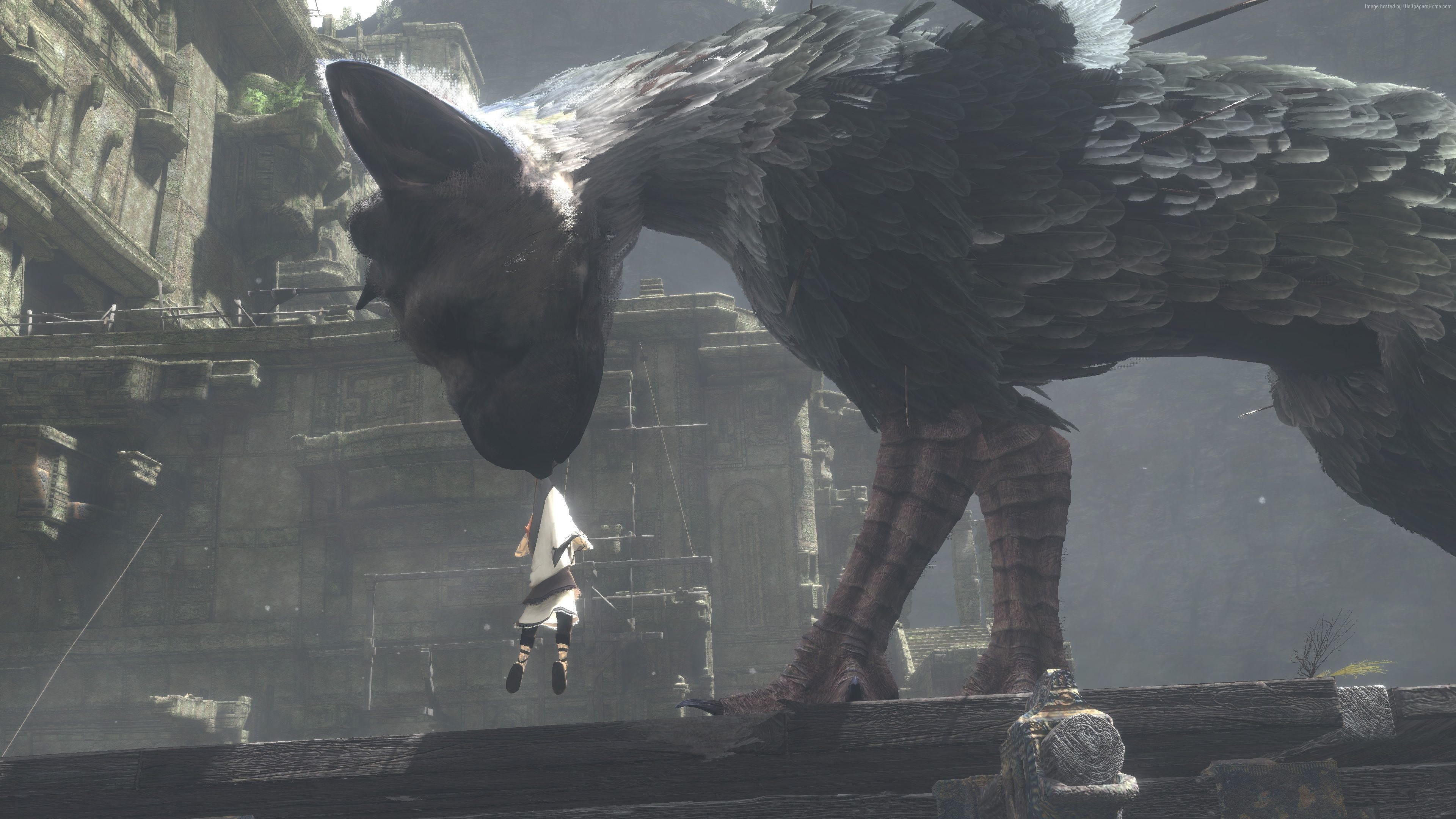 4K, The Last Guardian, Trico, Best Games 2016, HD Wallpaper