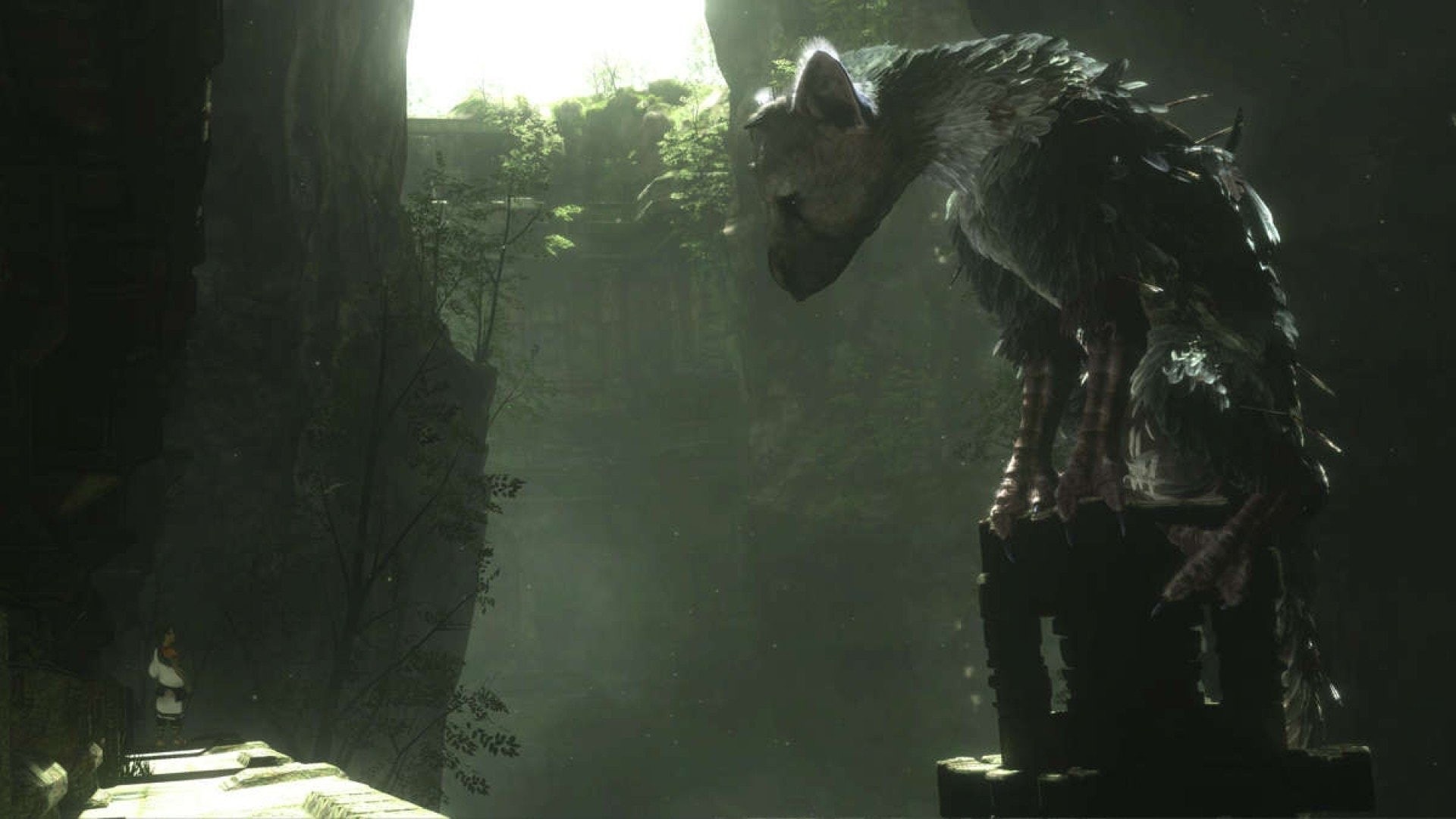 1080P, The Last Guardian, Creature, Video Game, HD Wallpaper