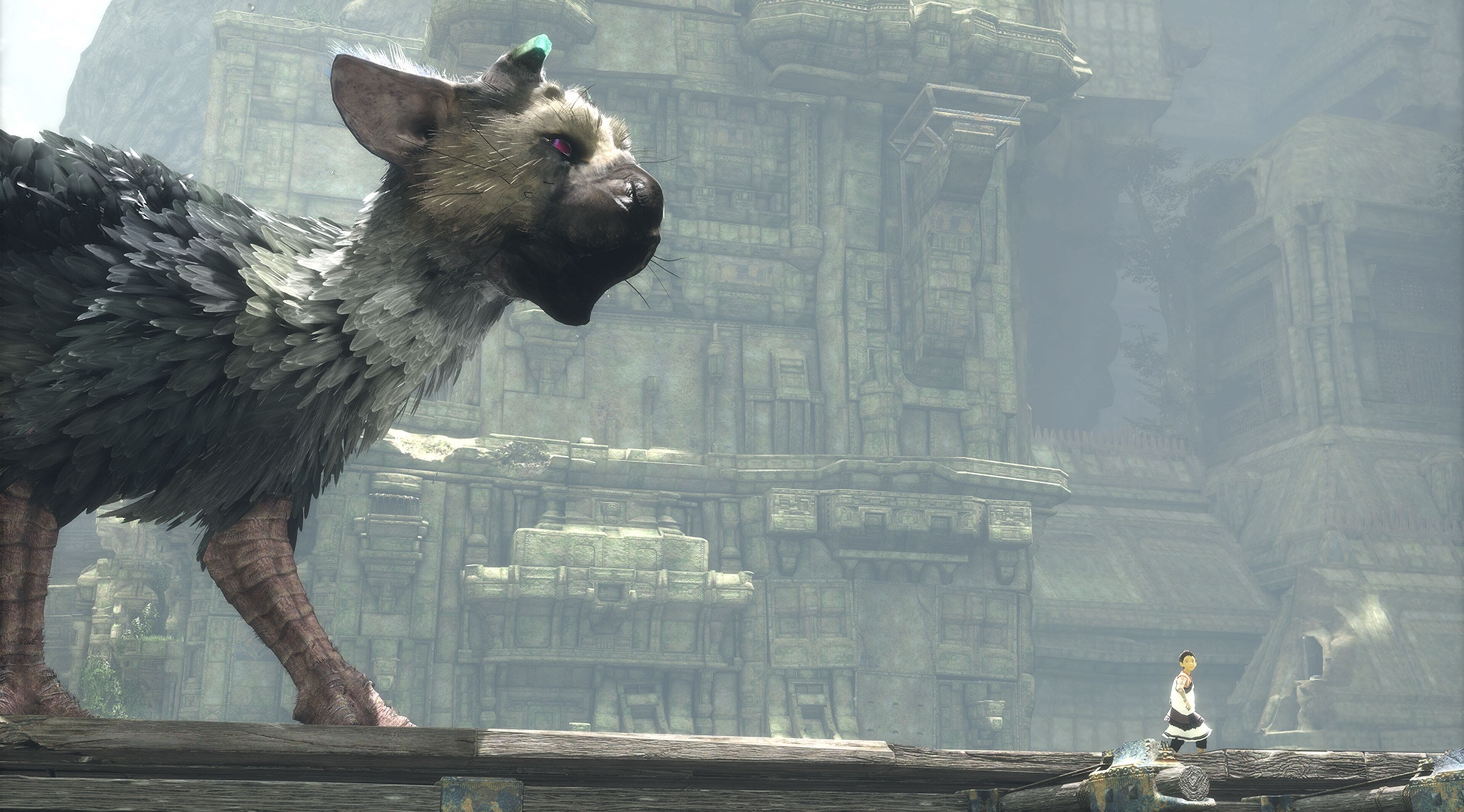 animal wildlife, architecture, vertebrate, cat, animals in the wild, the last guardian 4k  in hd quality, no people, built structure, feline, day, building exterior, HD Wallpaper