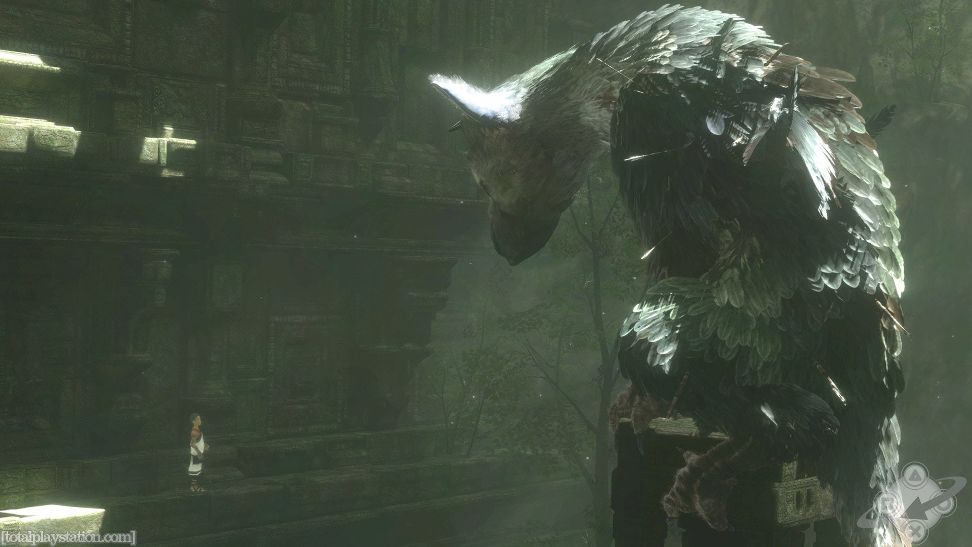 Video Game, 1080P, The Last Guardian, HD Wallpaper