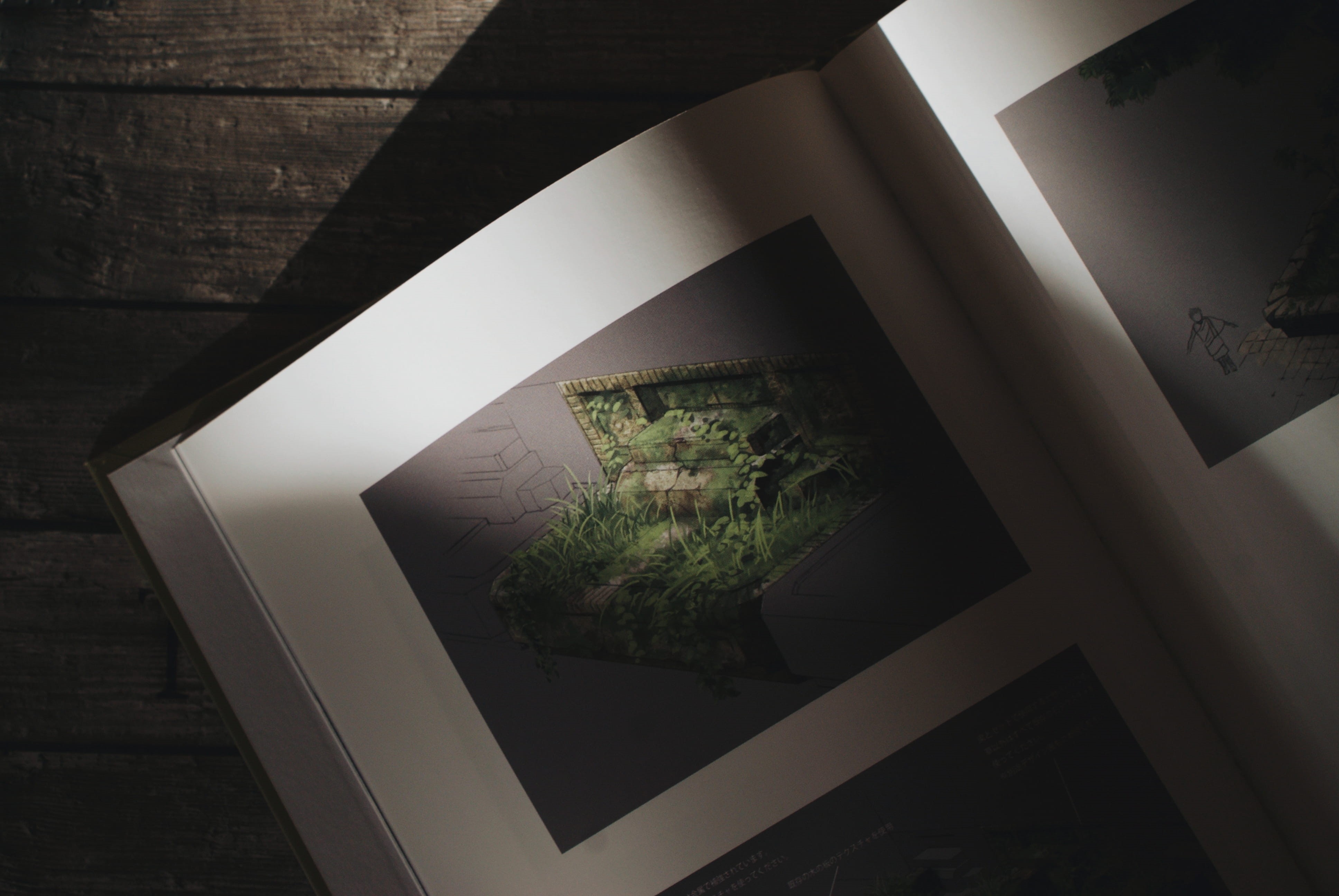 sunlight, desk, indoors, plant, high angle view, wall - building feature, architecture, book, potted plant, reflection, building, close-up, day, no people, HD Wallpaper