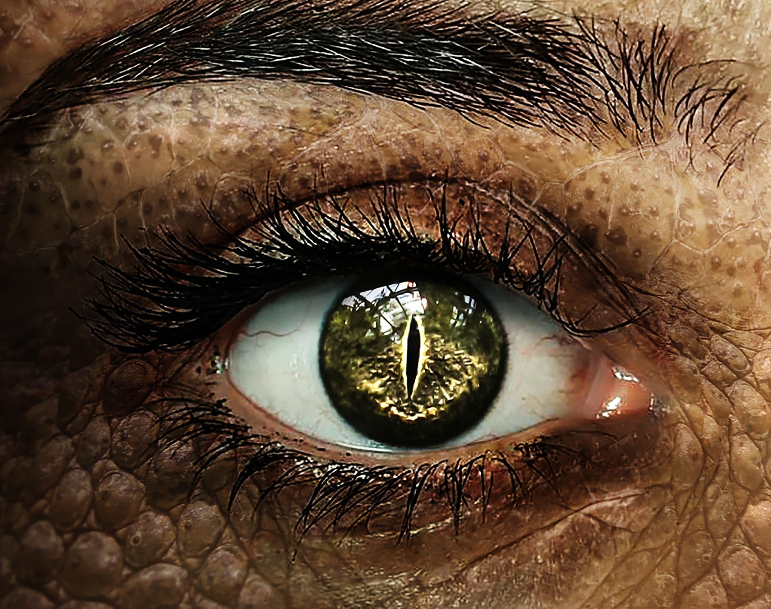 human body part, woman with a dragons eye, girl, hazel eyes, woman, unrecognizable person, eyesight, lizards eye, eyelash, fantasy, mysterious, body part, HD Wallpaper
