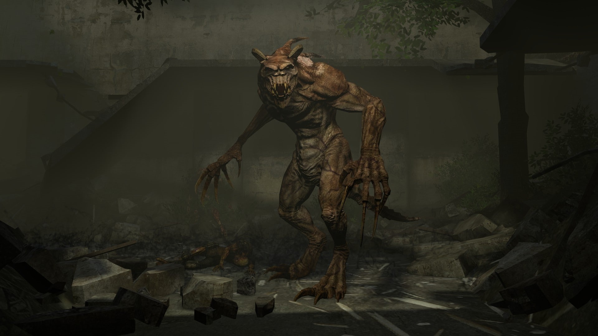 leaf, Deathclaw, pets, no people, animal, vertebrate, animal themes, nature, Fallout, plant part, indoors, architecture, sitting, one animal, cat, wall - building feature, HD Wallpaper