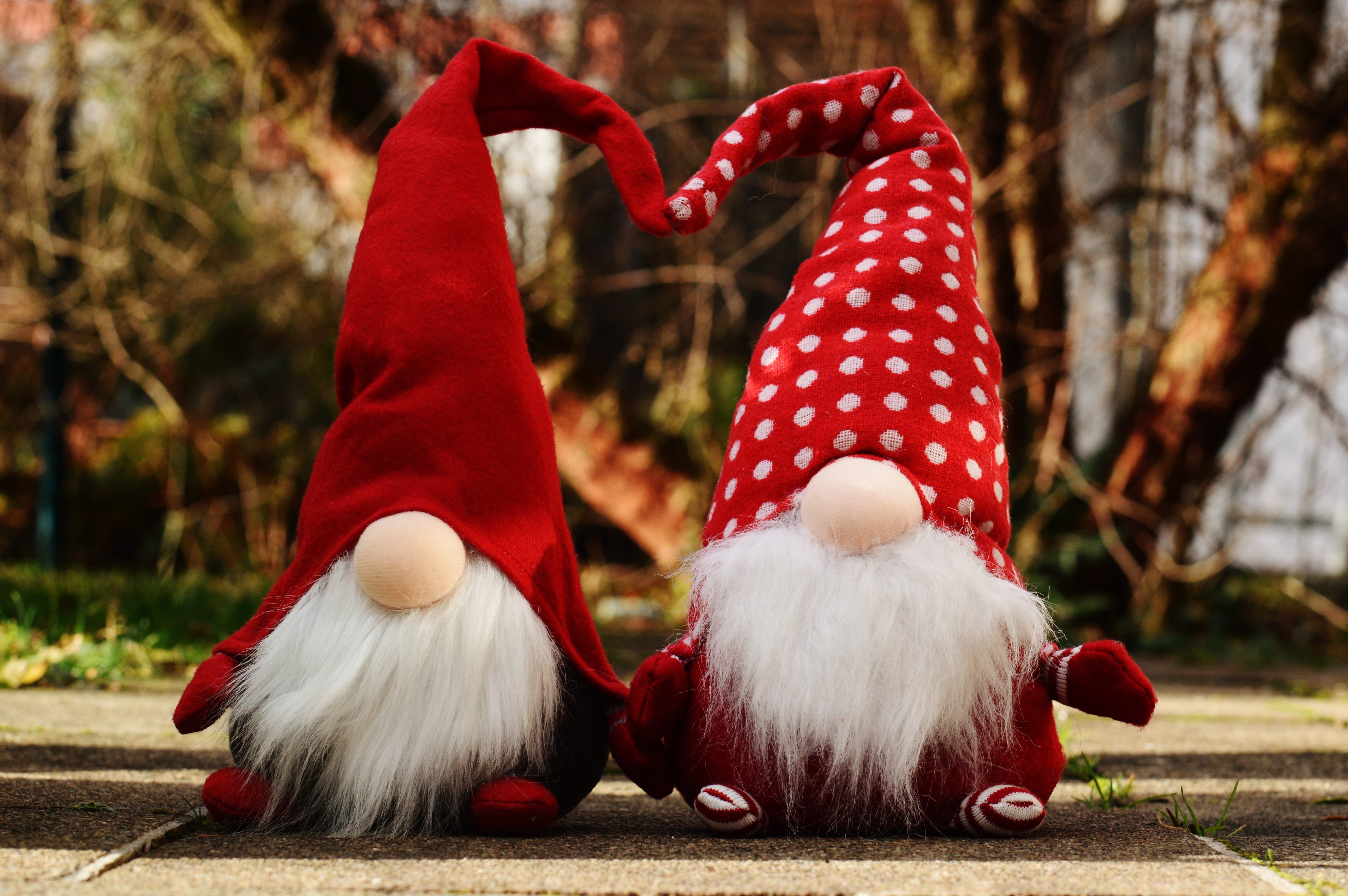 focus on foreground, fun, cap, cute, plush, sweet, gray, mammal, santa claus, christmas time, clothing, no people, christmas elves, surface, animal themes, HD Wallpaper