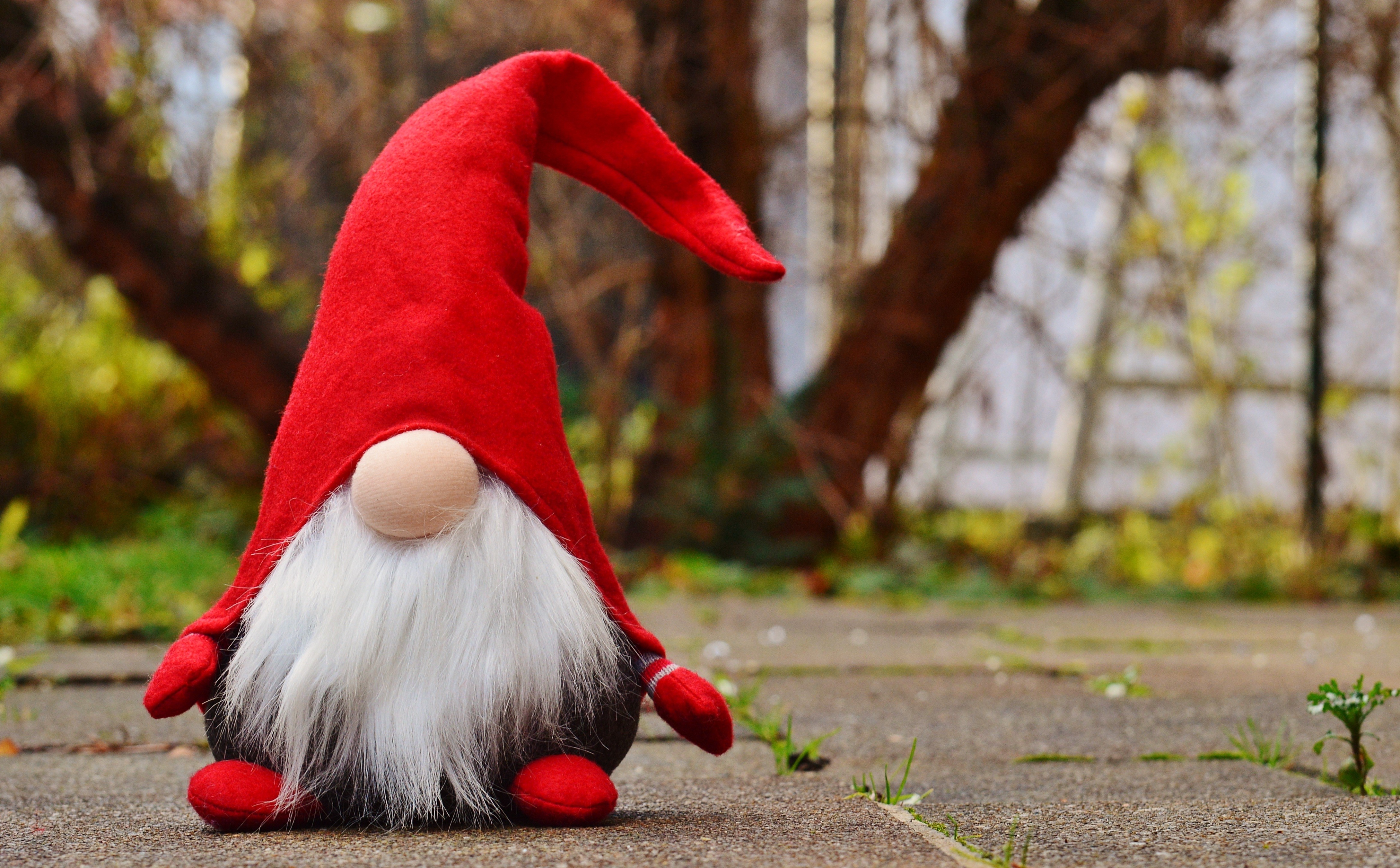 imp, gnome, christmas decoration, tree, day, holiday, fun, animal, plant, focus on foreground, costume, are, funny, sweet, red, mammal, christmas elves, HD Wallpaper