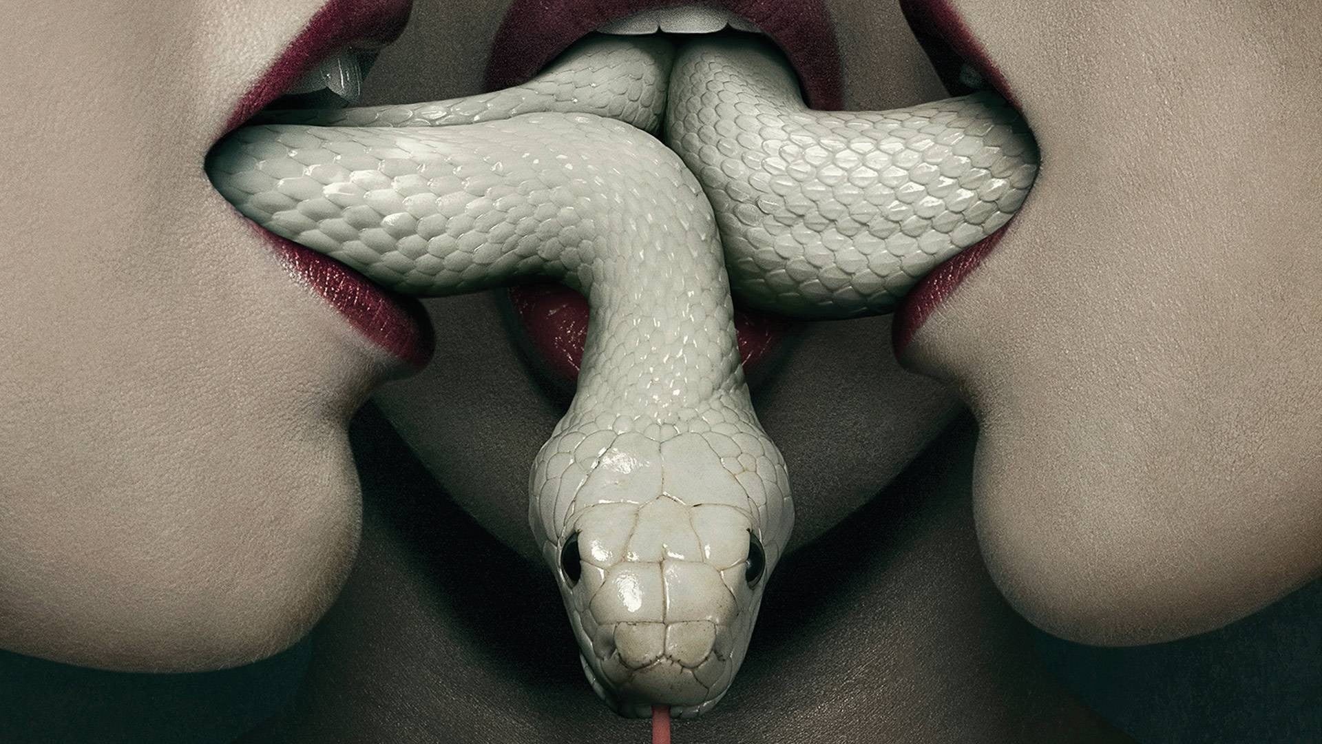 representation, white color, single object, no people, albino, body part, American Horror Story, 1080P, indoors, human representation, mouths, HD Wallpaper