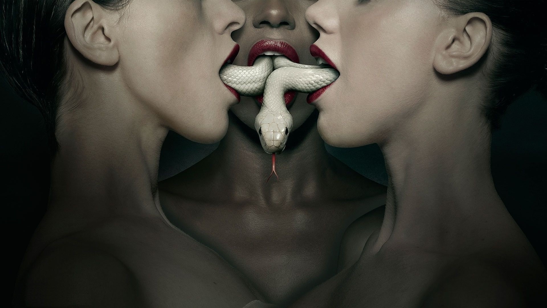human lips, young adult, spooky, studio shot, indoors, human body part, lipstick, portrait, vampire, chest, black background, adult, one person, mystery, HD Wallpaper