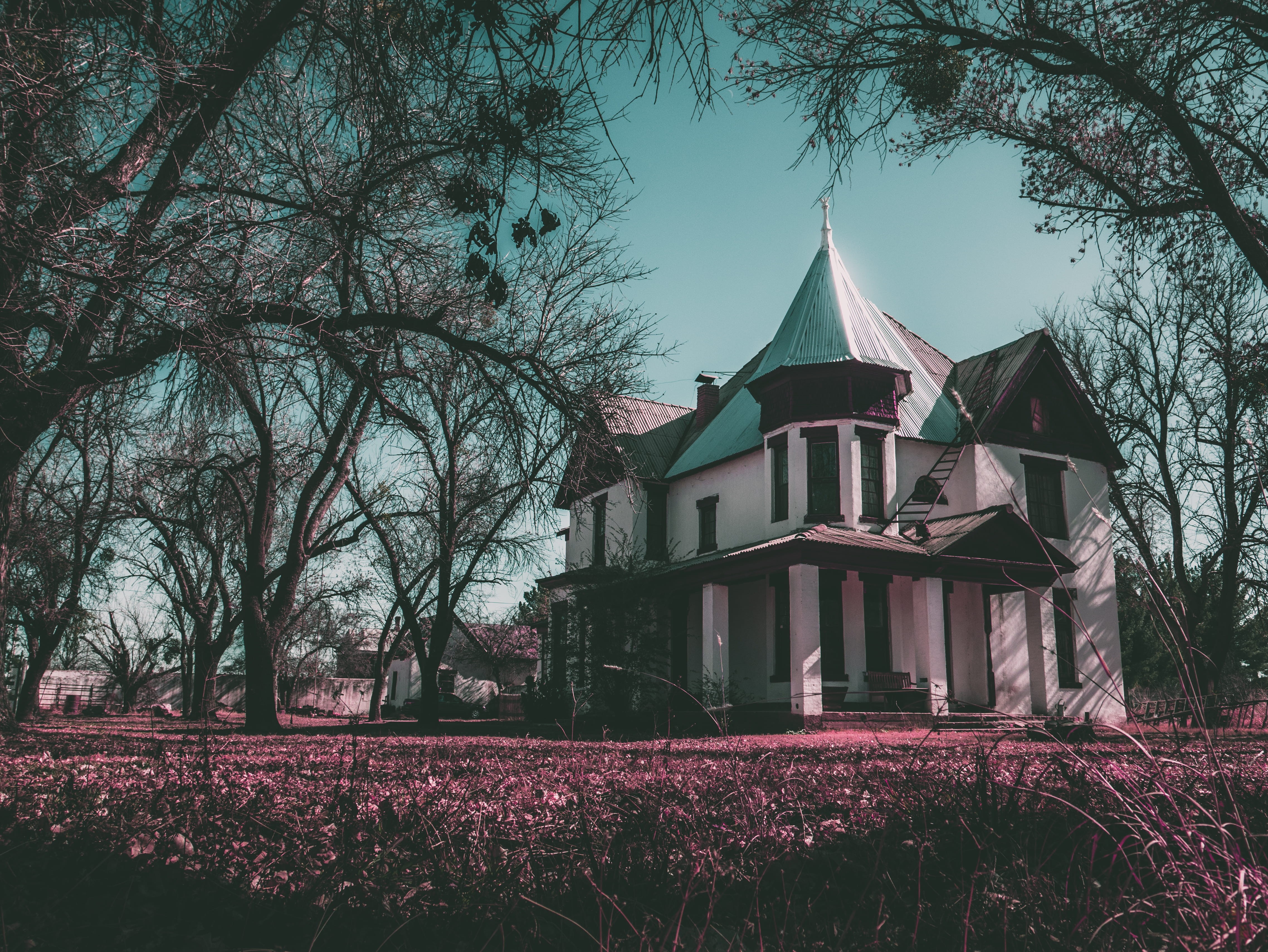 built structure, trees, field, american, building exterior, dark, architecture, retro, clean, creepy, no people, plant, blue, no clouds, story, building, HD Wallpaper