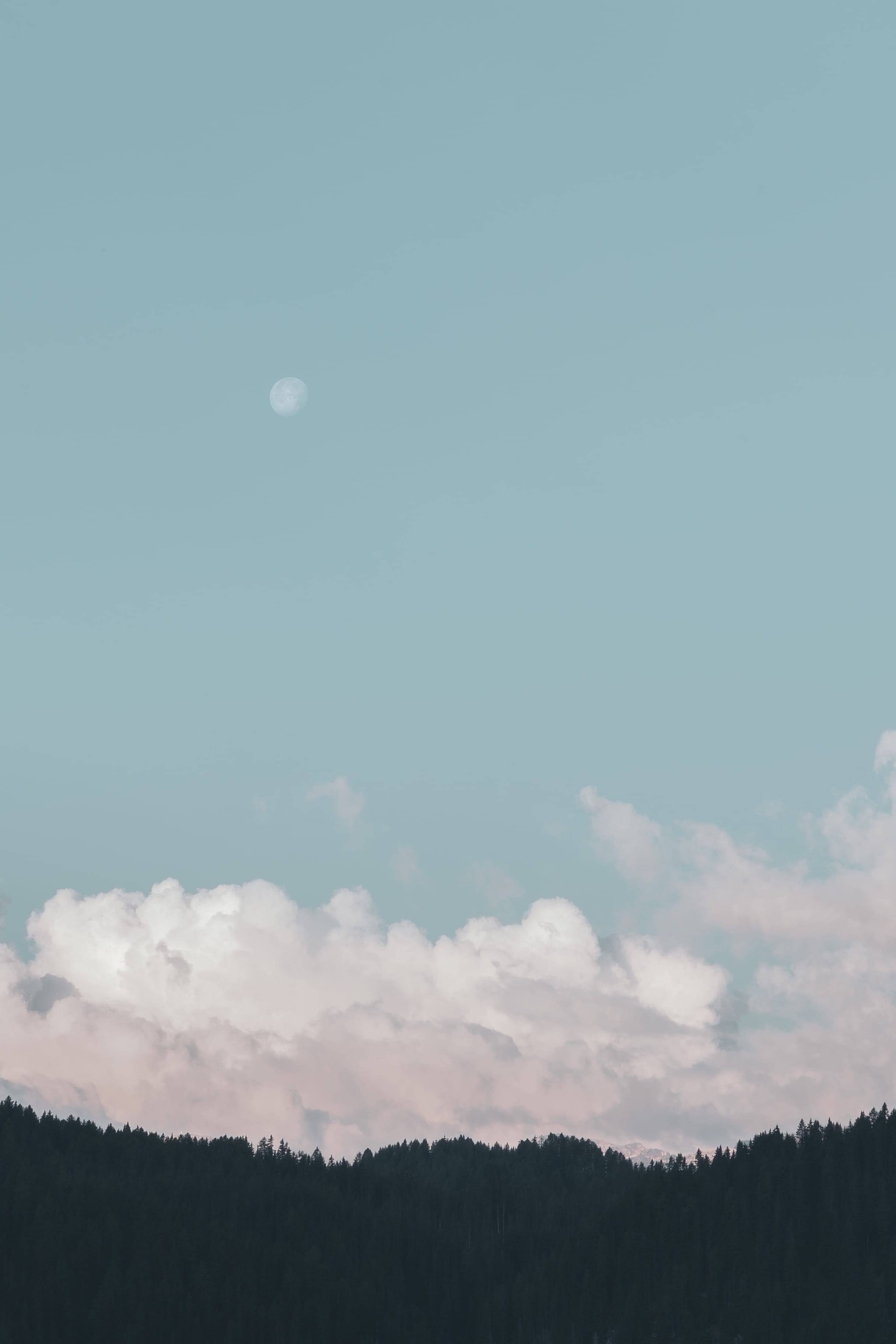 clouds, silhouette, blue, nature, 2K, non-urban scene, skyscape, tranquil scene, samsung, planetary moon, mobile, plant, Phone HD Wallpaper