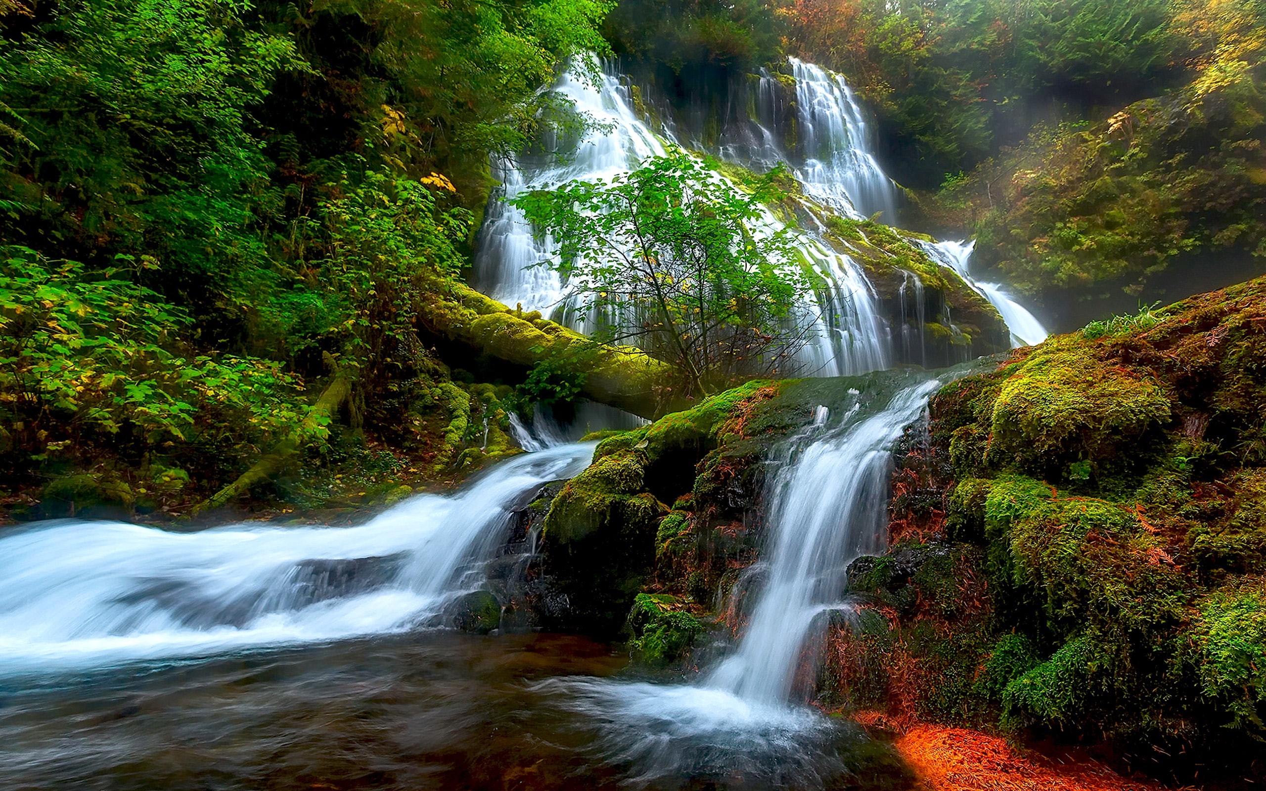 laptop, tablet, falls, columbia, river, natural, skamejnija, creek, usa, district, 2K, washington, panther, beauty, hd, HD Wallpaper