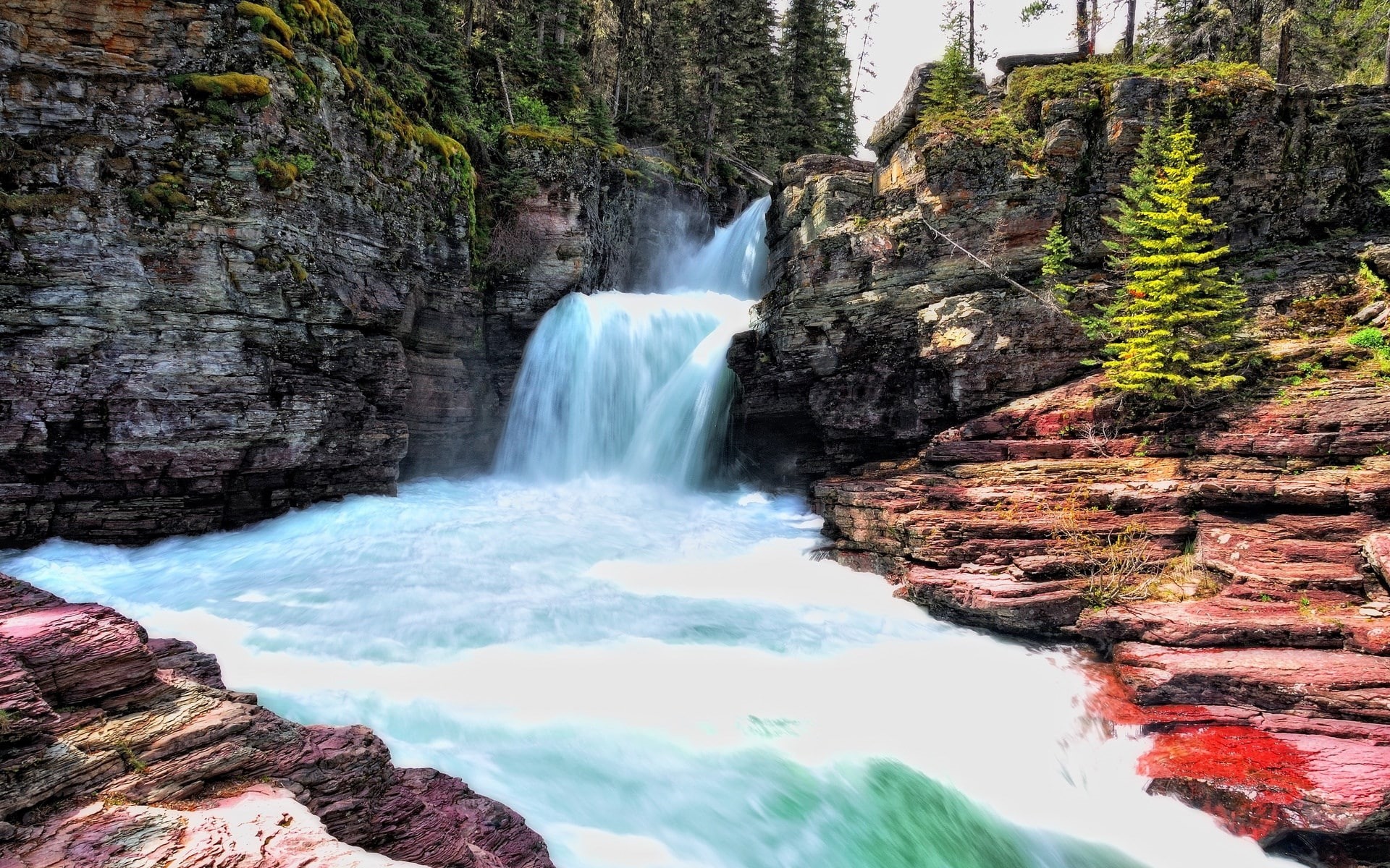 outdoors, beauty in nature, aquatic sport, day, long exposure, motion, power in nature, tree, flowing water, 1080P, laptop backgrounds nature images 1920x1200, HD Wallpaper