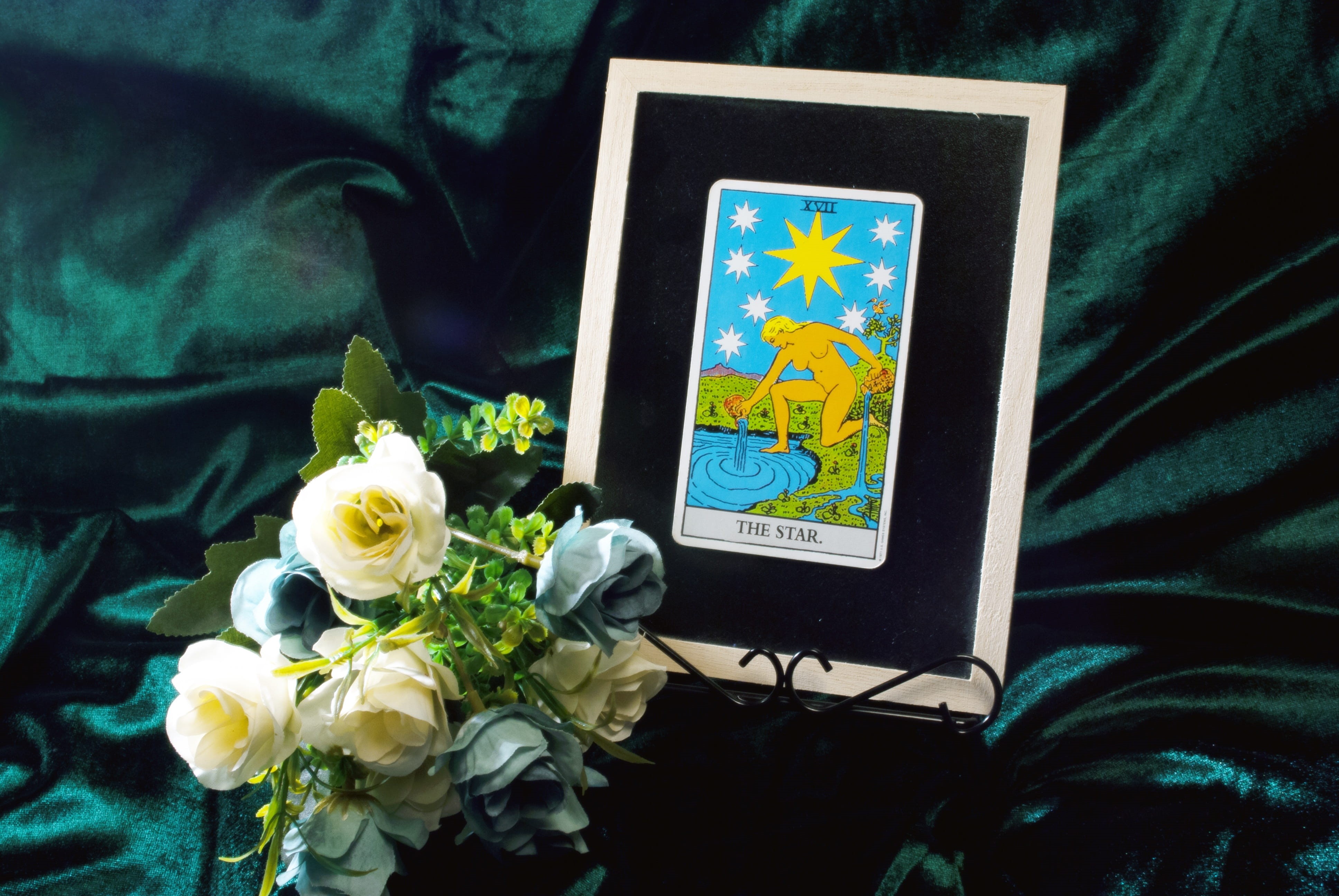 indoors, flower, spiritual, activity of mankind born out of struggle between wisdom and madness, human hand, communication, card, spirituality, nature, HD Wallpaper