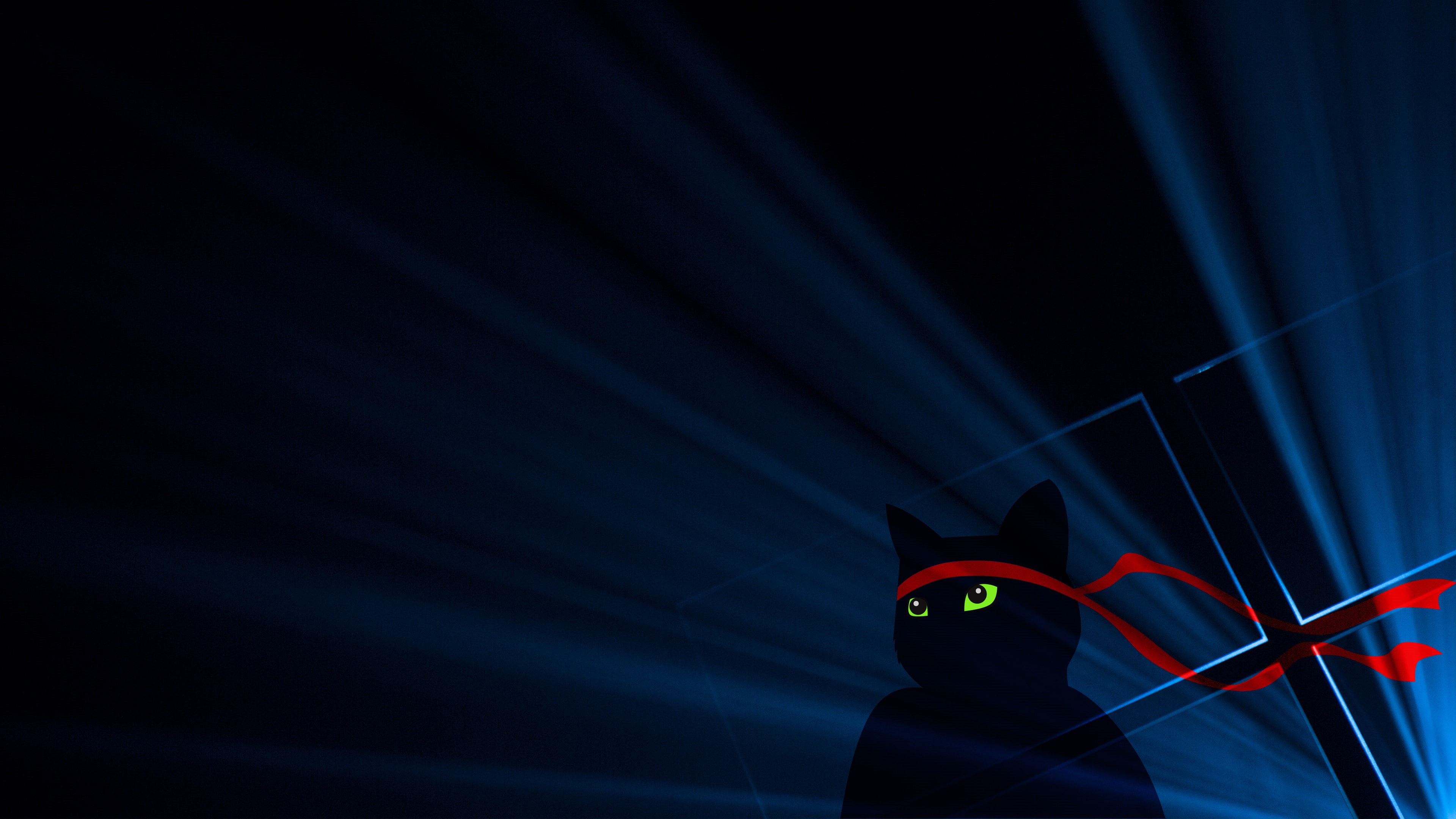 Dark, cat, Windows 10, artwork, bandana, red, 4K, Ninja Cat, 4K, Anniversary update, black, HD Wallpaper