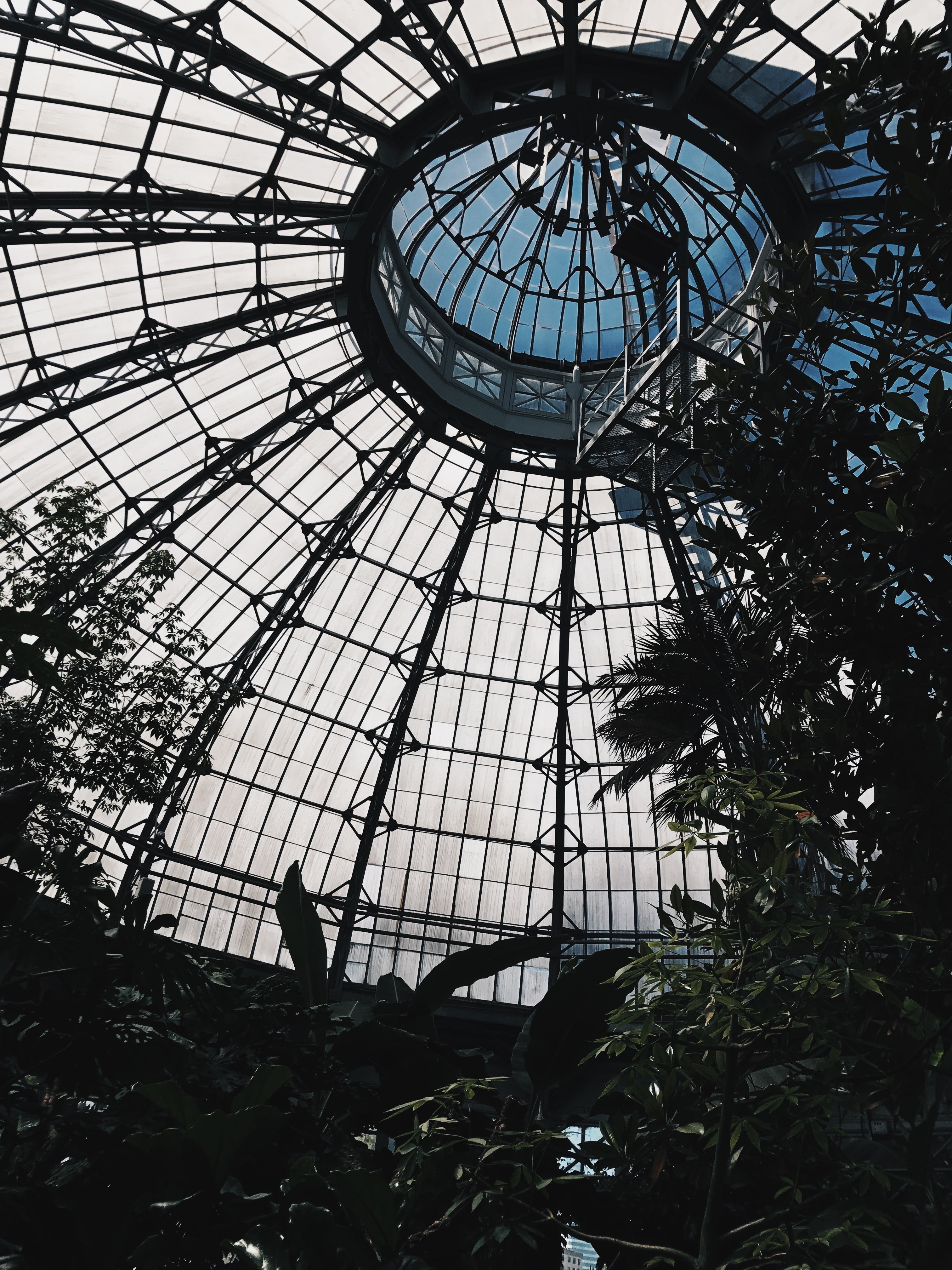 skyscraper, sky, architecture, plant, greenhouse, growth, no people, sunlight, 4K, skylight, nature, glass - material, dome, cupola, tree, low angle view, Phone HD Wallpaper