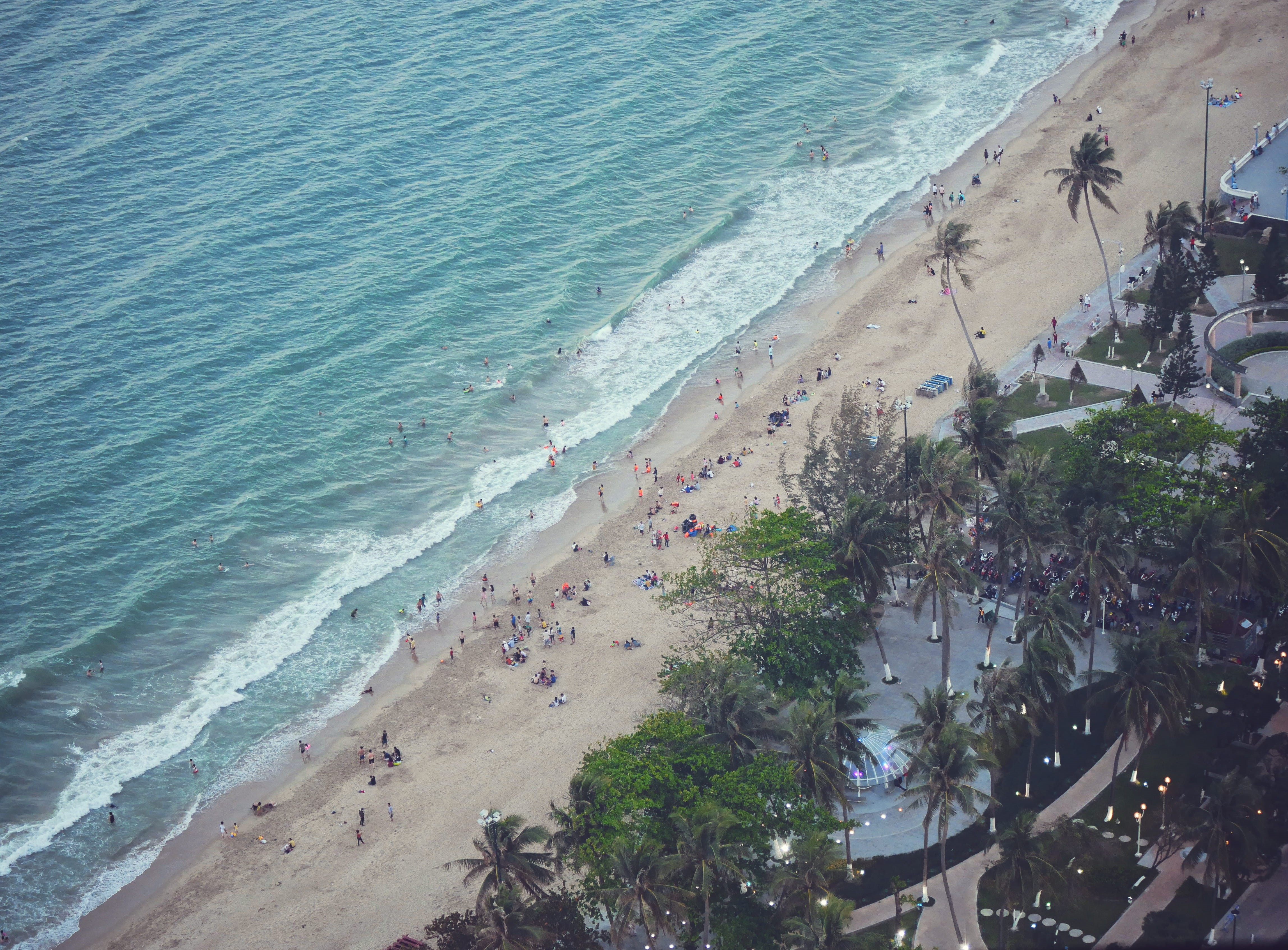plant, 4K, sea, palm trees, scenics - nature, skylight nha trang, trip, holiday, high angle view, vietnam, nature, tourism, beach city, tropical destinations, HD Wallpaper