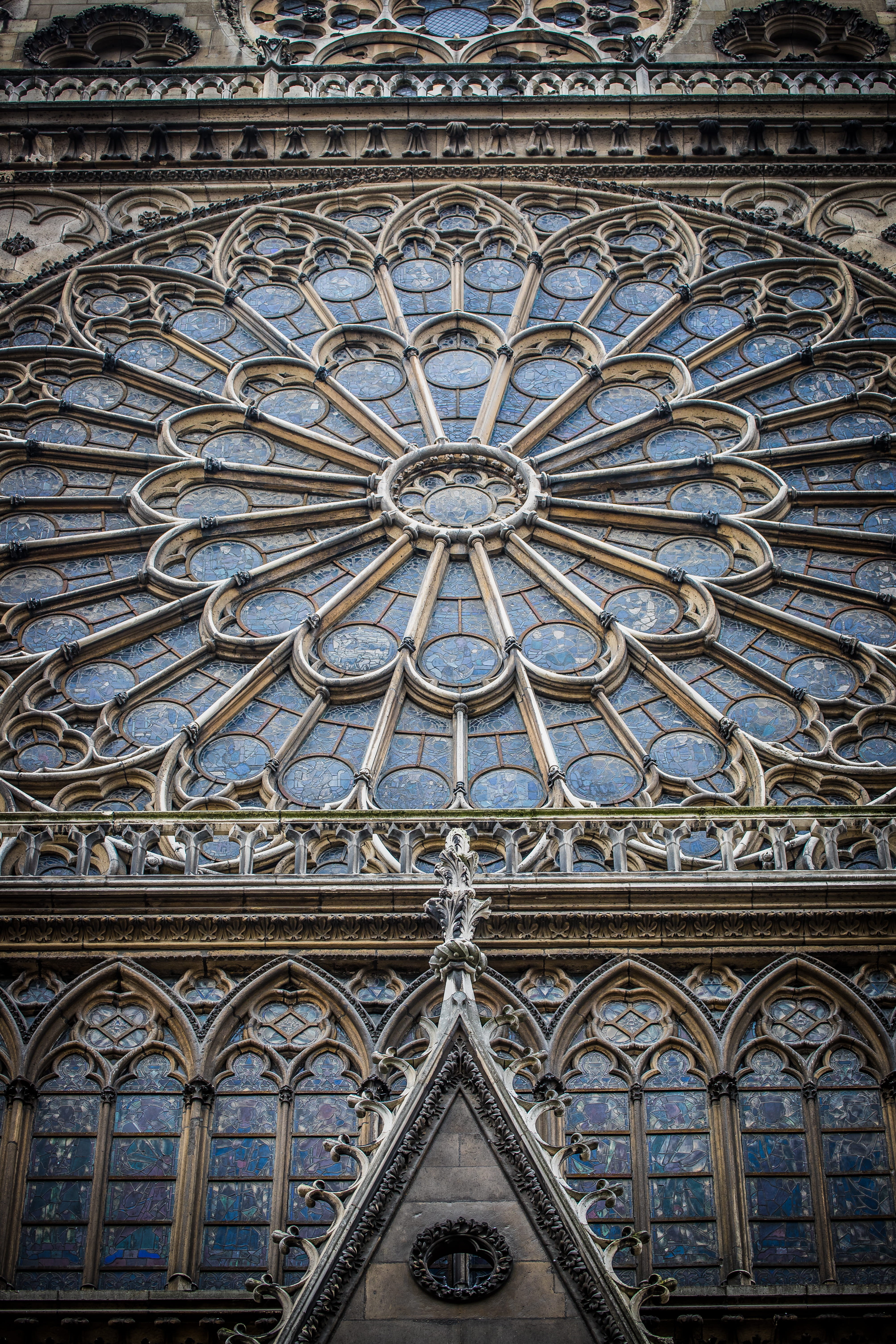 dame, ceiling, round, 5K, gothic, notre, floral pattern, de, architecture, building, design, arch, outdoors, place of worship, stained glass, dark, stained, Phone HD Wallpaper