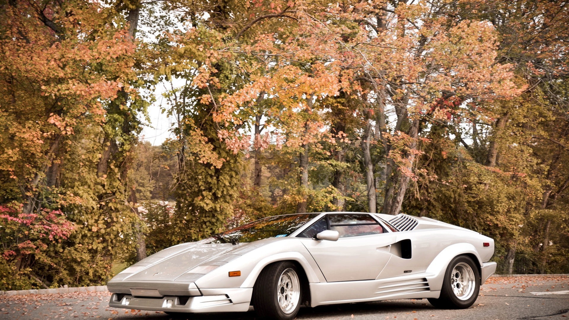 plant, retro styled, land vehicle, luxury, no people, silver colored, transportation, nature, road, 1080P, motor vehicle, autumn, Lamborghini Countach, HD Wallpaper