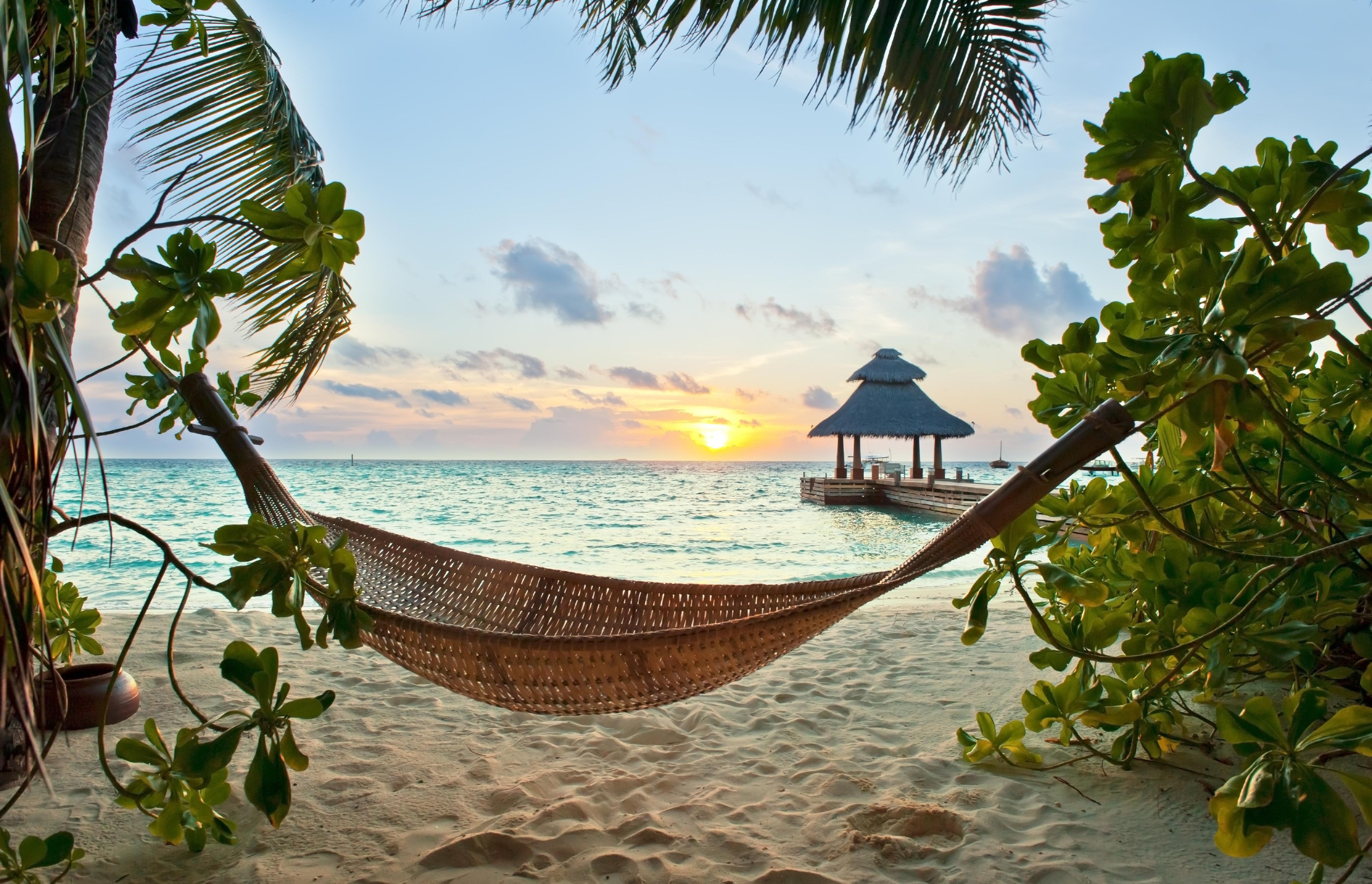 sand, palm, beach, holiday, tropics, hammock, 4K, HD Wallpaper