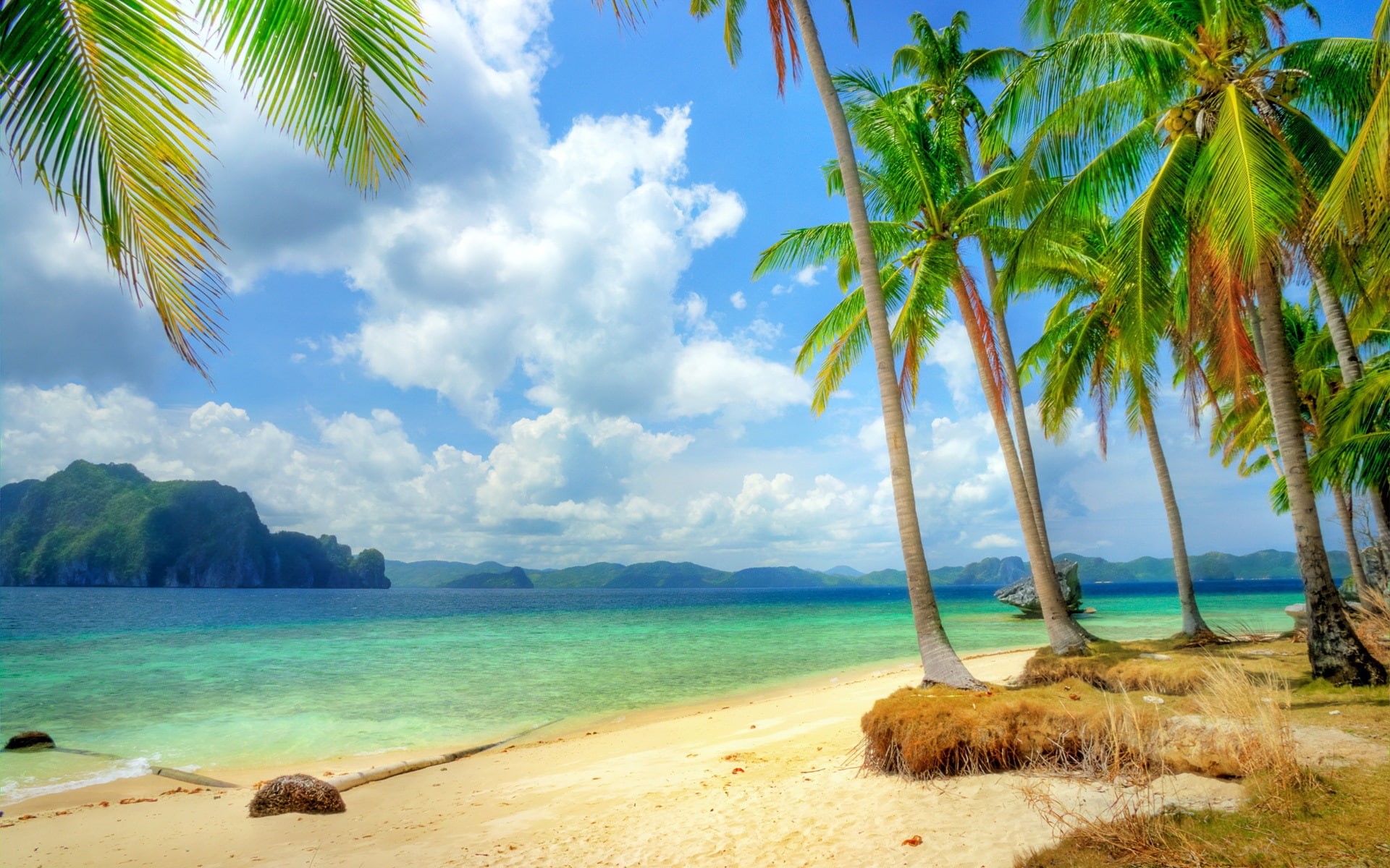 Coast, Clouds, Sea, Blue, Trees, Tropical, Palm, Beach, 1080P, HD Wallpaper