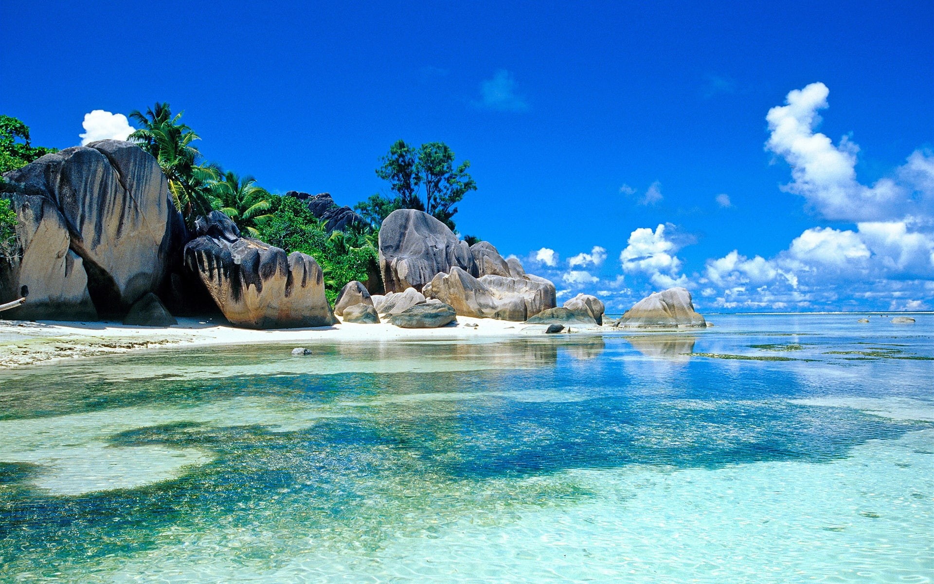 Palm, Tropics, Rocks, Sky, Clouds, 1080P, Sea, Beach, Trees, HD Wallpaper