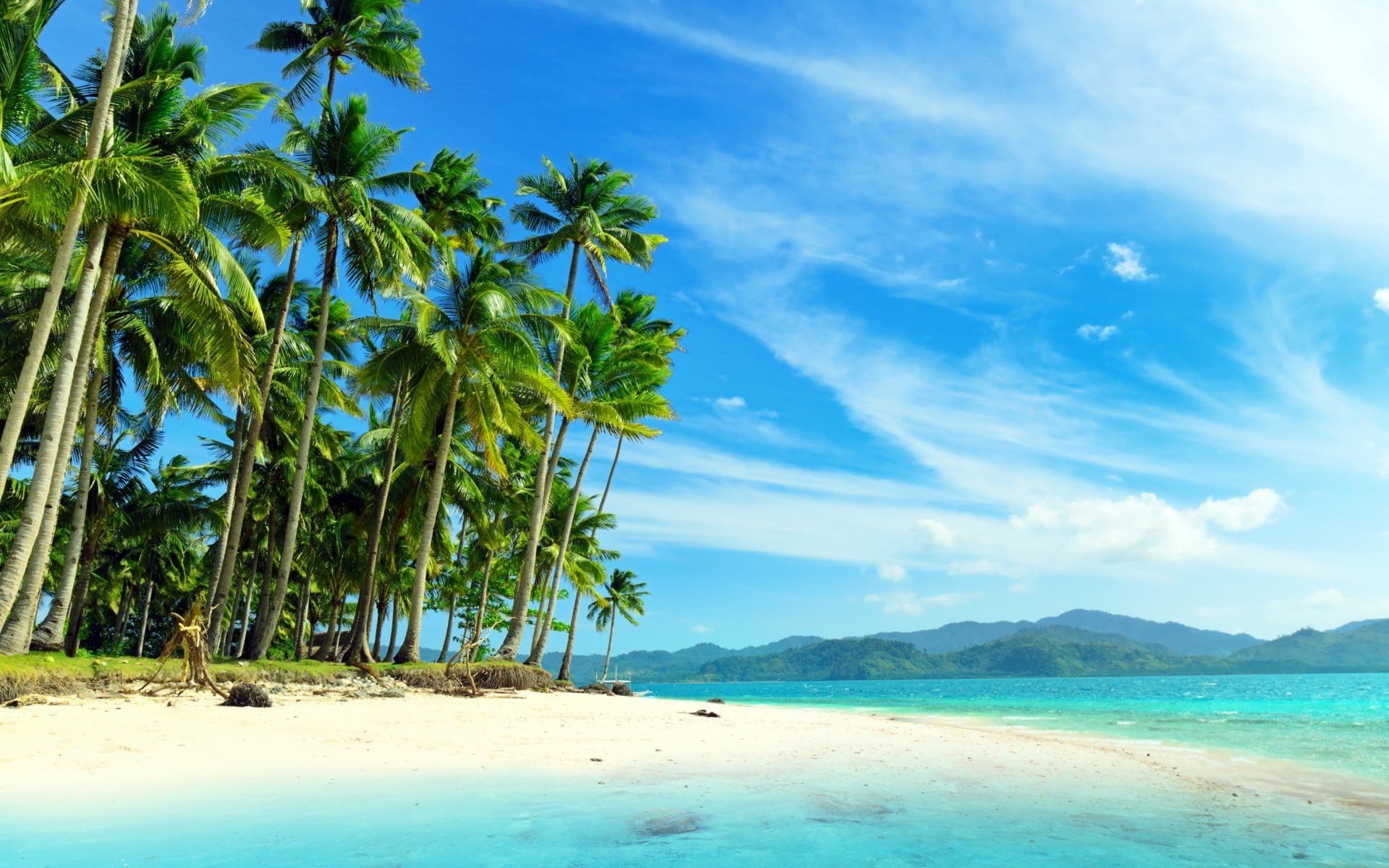 non-urban scene, nature, palm tree, 1080P, green, water, plant, tranquil scene, cloud - sky, growth, day, beach, tree, tropical, blue, tropical climate, HD Wallpaper