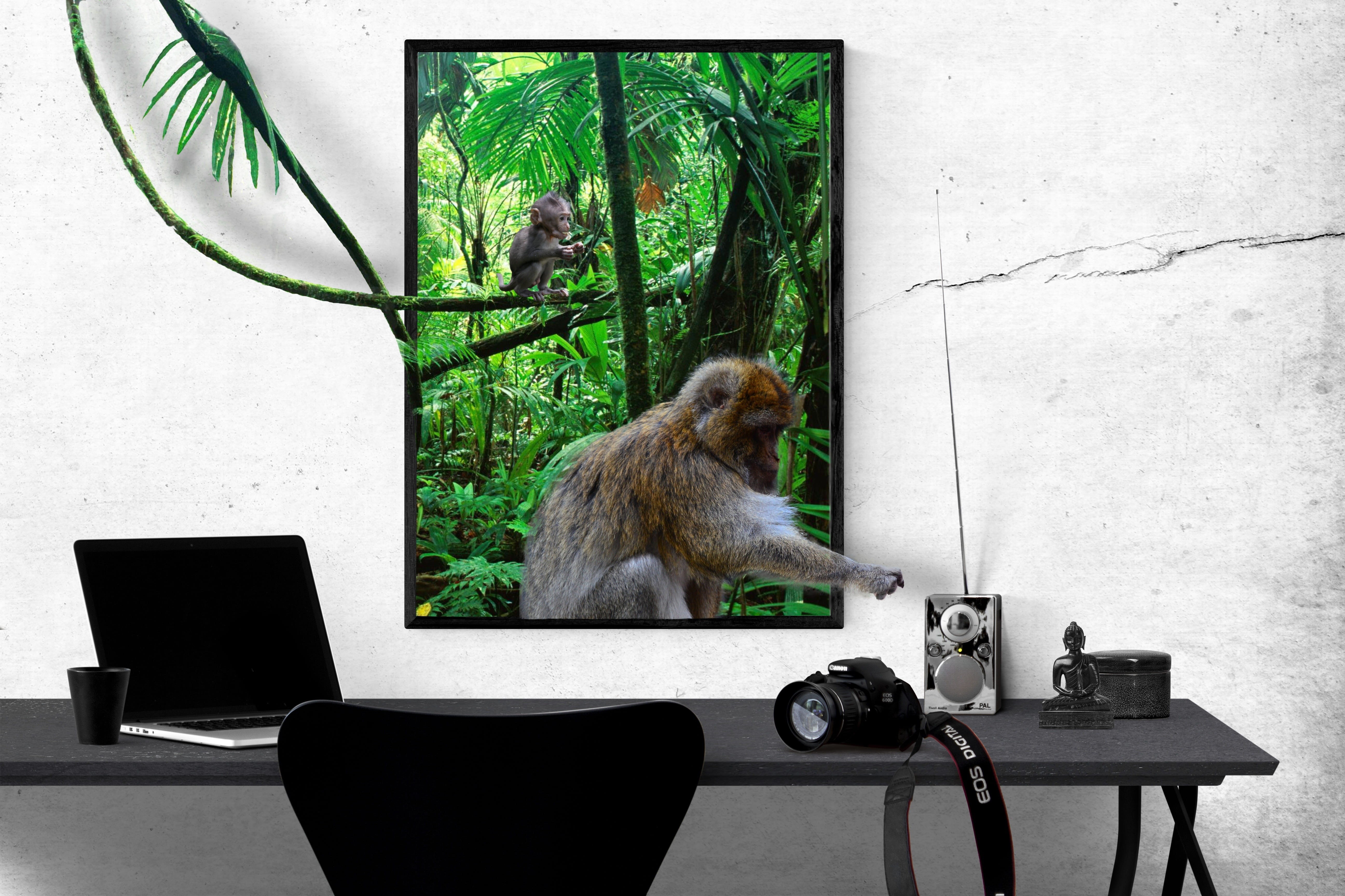 animal themes, wall - building feature, primate, monkey, sitting, affinity, indoors, digital photo montage, animal wildlife, animal, photomontage, vertebrate, HD Wallpaper