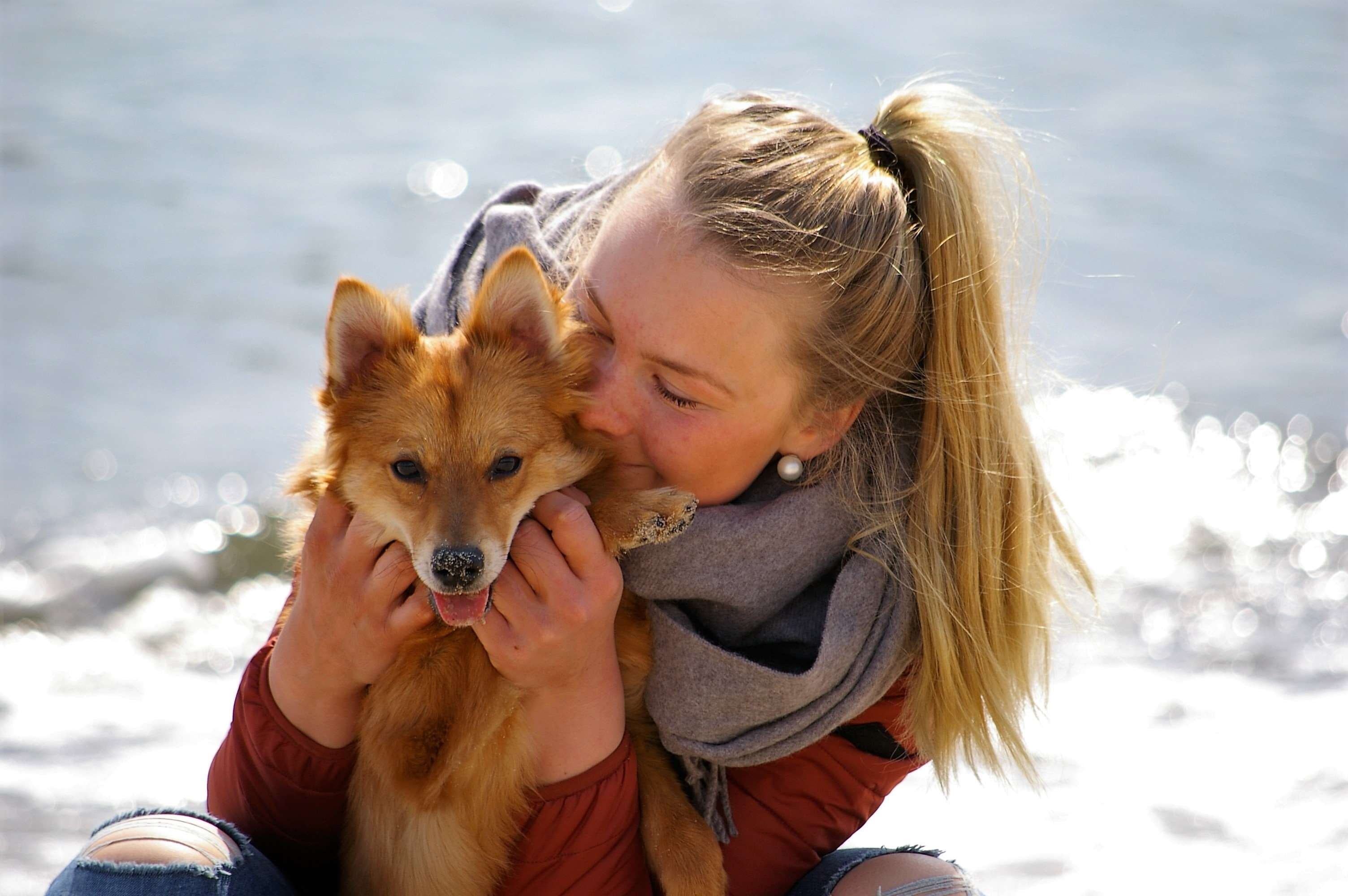 tip, pets, friend, leisure activity, affinity, domestic animals, bonding, joy, pet owner, dog, hair, one animal, child, outdoors, women, 2K, positive emotion, HD Wallpaper