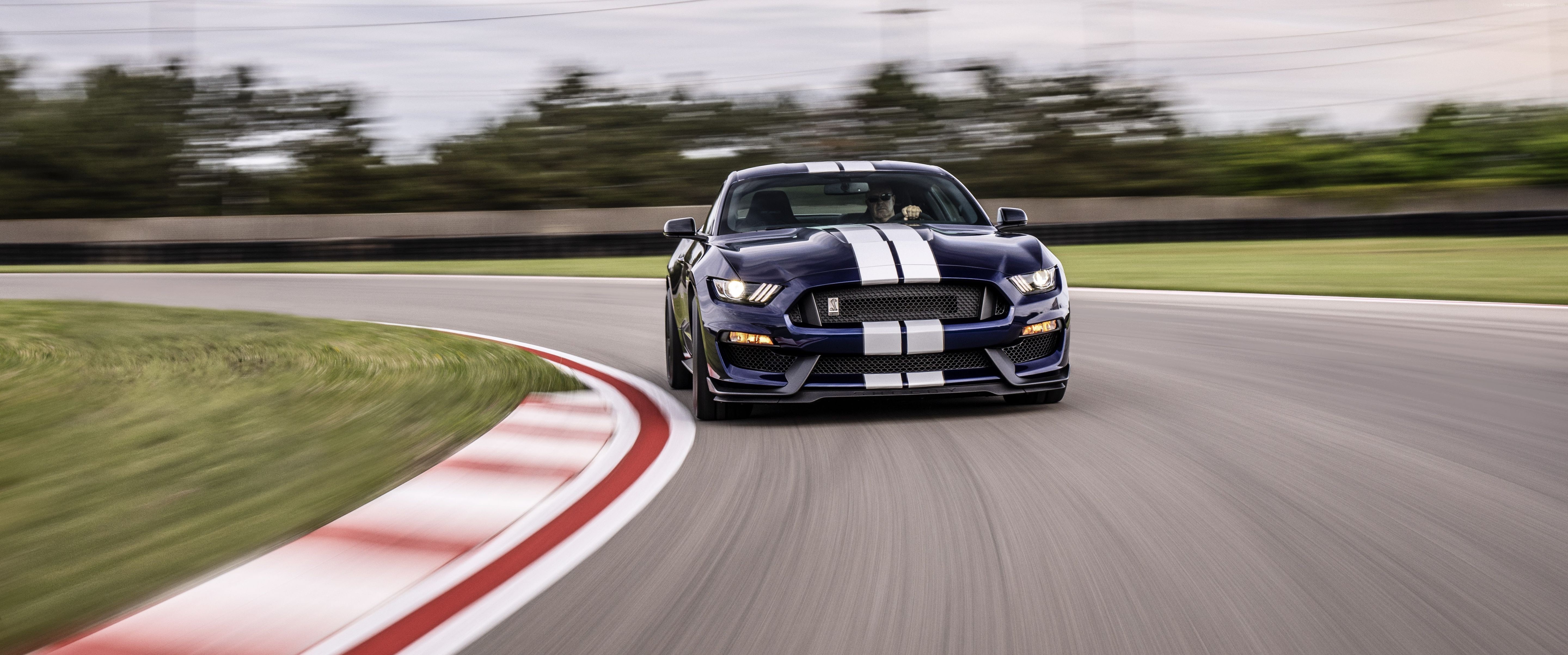 5K, 4K, 2019 Cars, Ford Mustang Shelby GT350, HD Wallpaper
