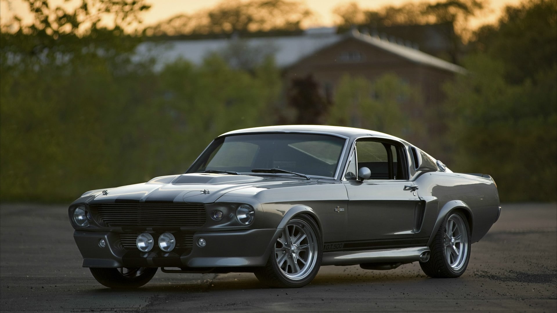 transportation, ford shelby, elegance, garage, coupe, retro Styled, mode of transportation, black Color, nature, sports Car, luxury, technology, classic, HD Wallpaper