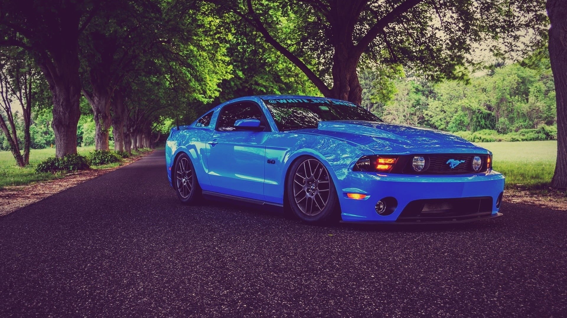 Ford Mustang, tree, city, land vehicle, stationary, ford, road, car, vintage car, outdoors, 1080P, mode of transportation, no people, parking, motor vehicle, HD Wallpaper