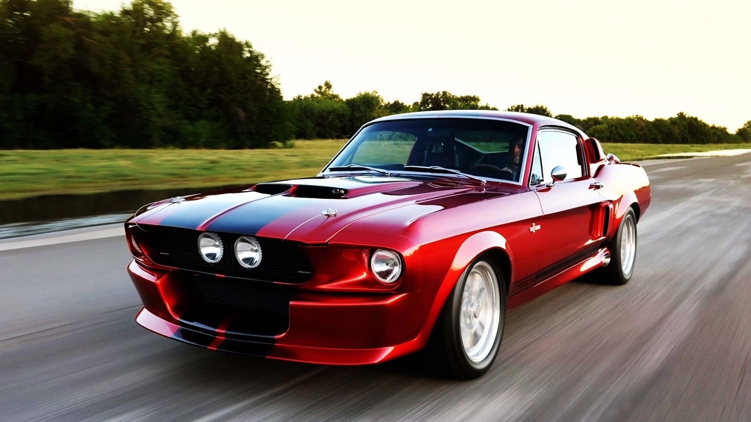 red, land Vehicle, driving, tree, road, mode of transportation, chrome, car, wheel, classic, ford mustang, motion, modern, black, motor Vehicle, racecar, HD Wallpaper