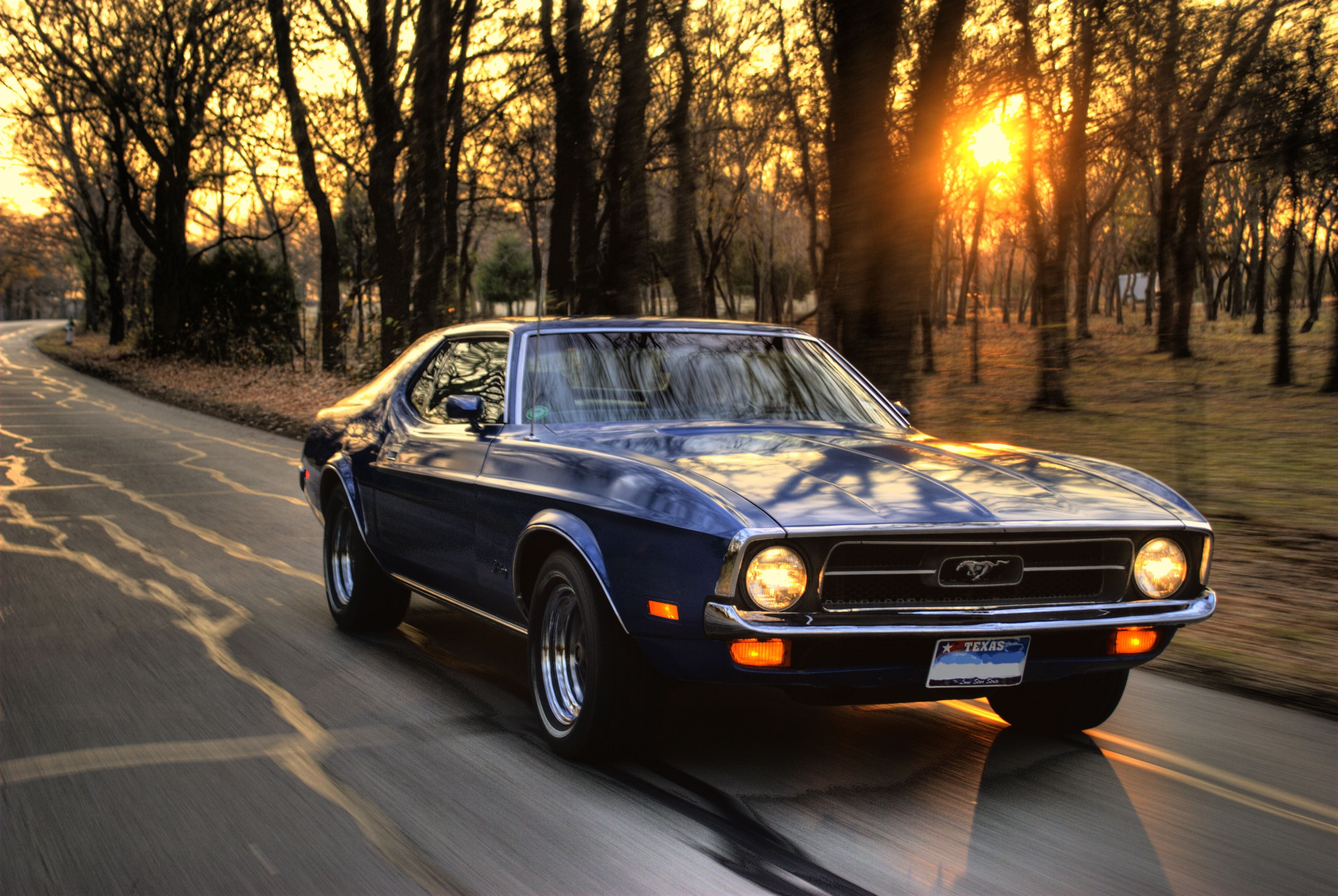 wheel, land Vehicle, sports Car, mustang, speed, uSA, black, transportation, old-fashioned, plant, front View, american Culture, reflection, Ford Mustang, HD Wallpaper