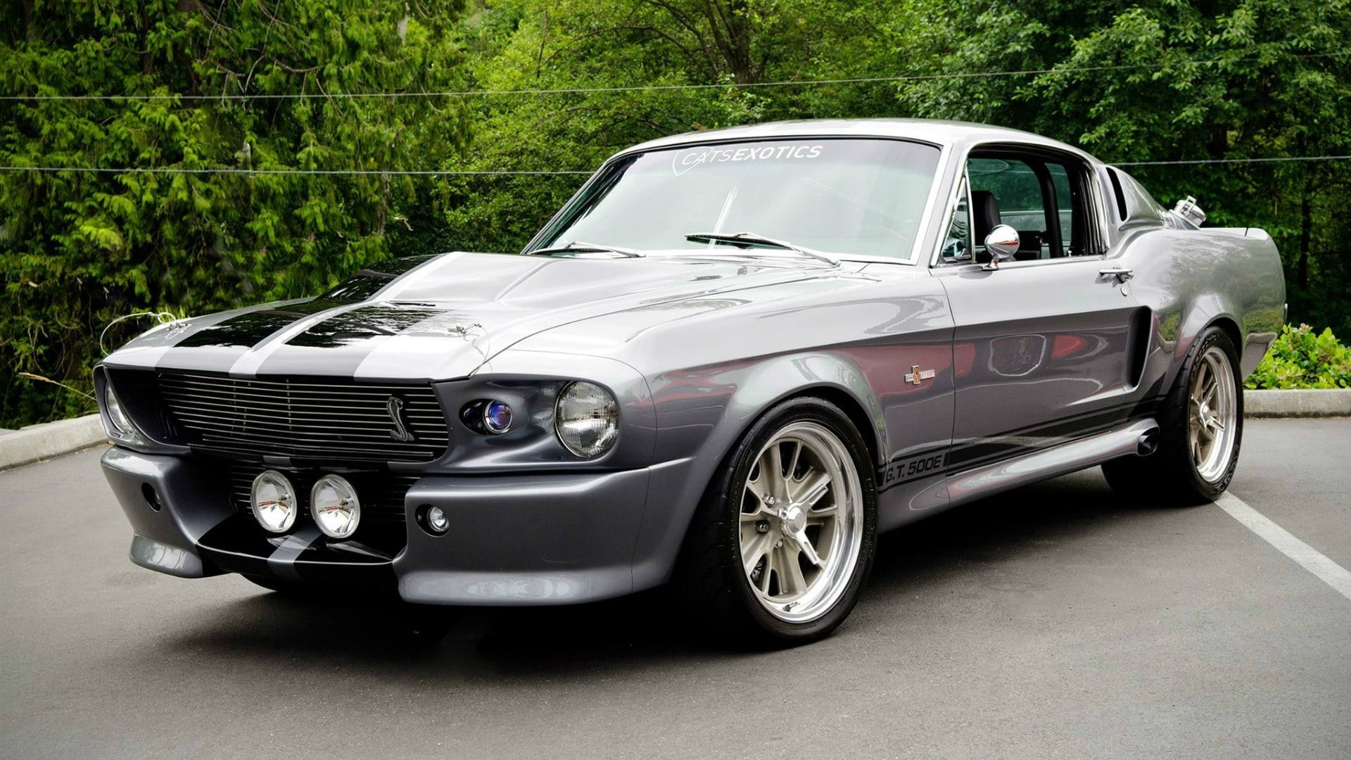 mode of transportation, Shelby, side View, exhibition, 1080P, green color, gray, plant, chrome, GT 500, status Car, silver Colored, mode of Transport, HD Wallpaper