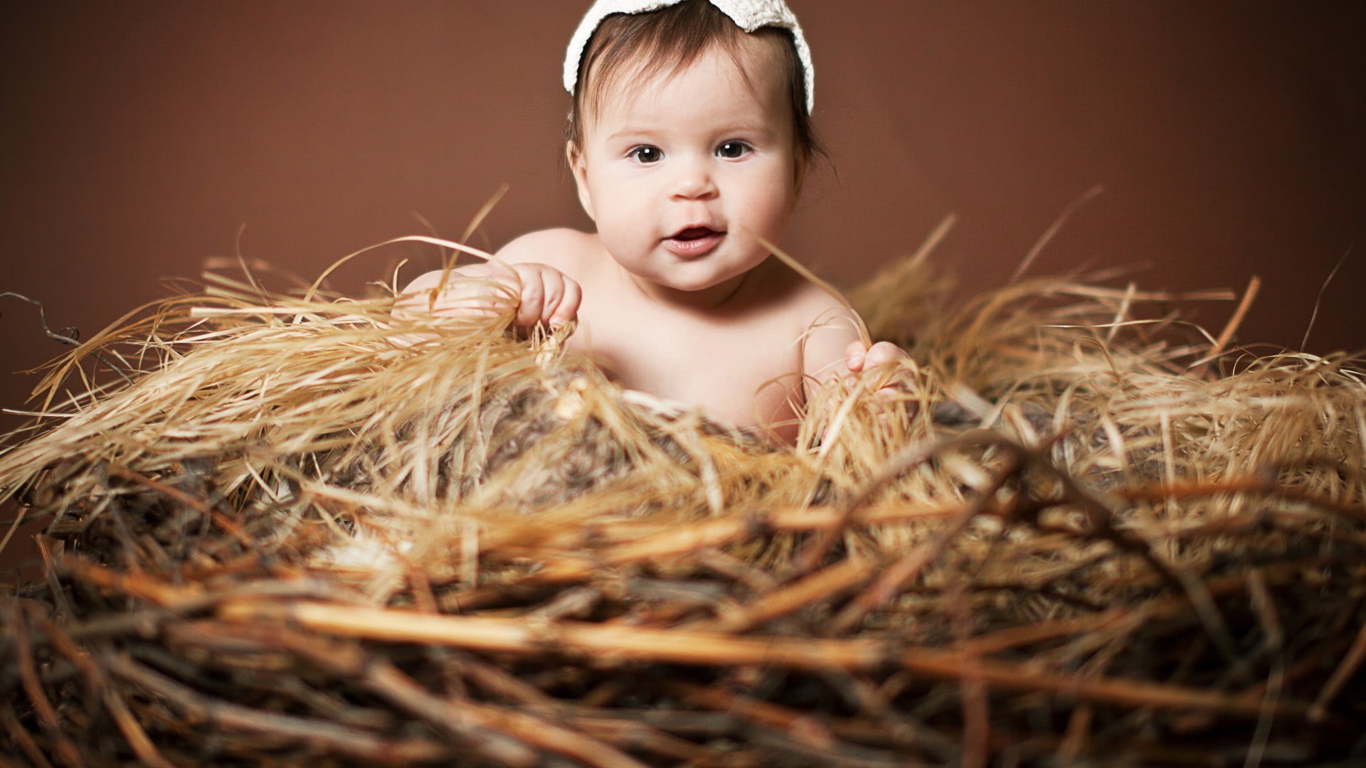 smiling, child, mouth open, plant, selective focus, baby, looking, headshot, portrait, one person, childhood, cup, s, nests, hair, emotion, children, looking at camera, HD Wallpaper