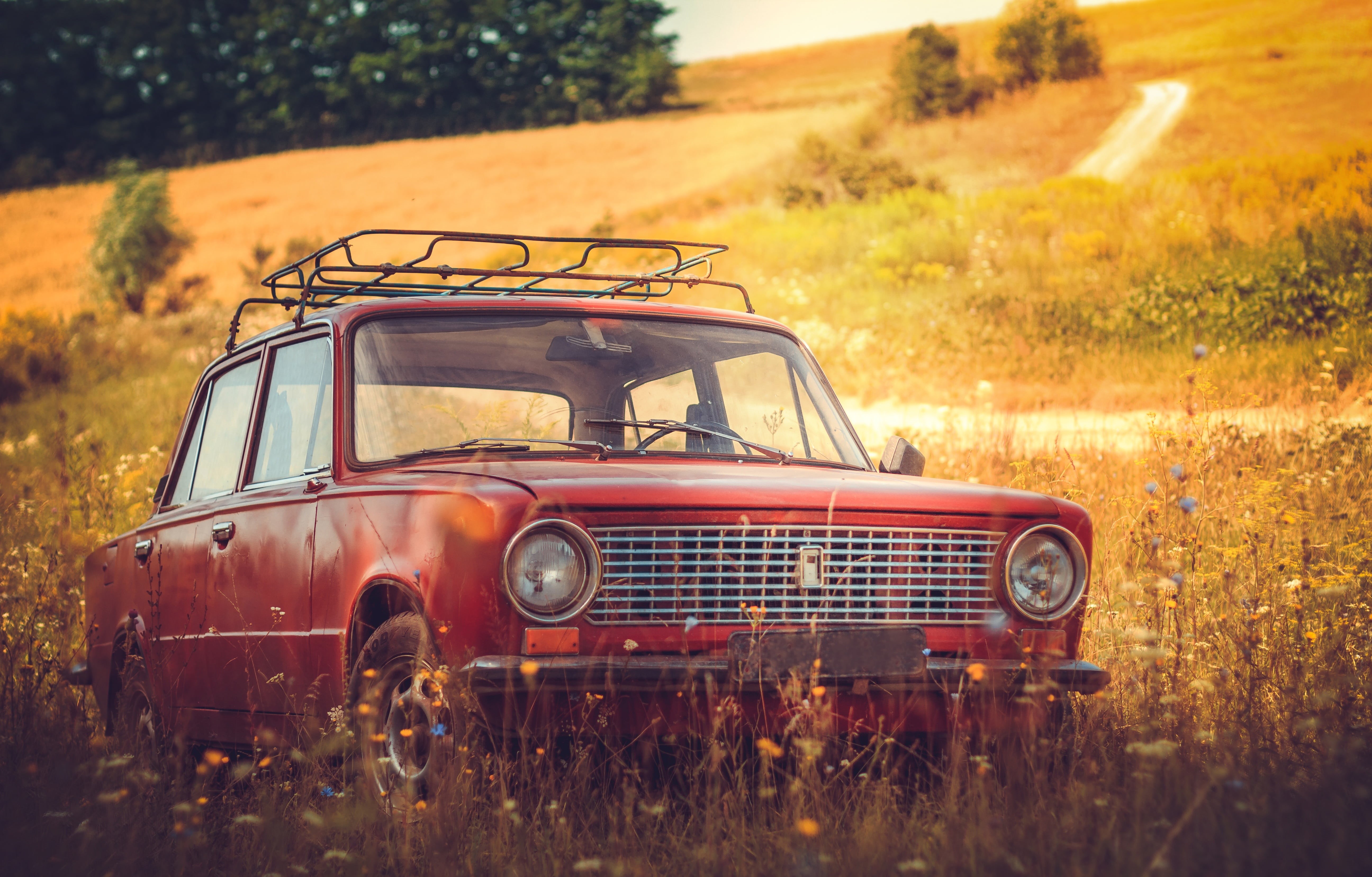 tofas, grass, metal, highland, vehicle, old-fashioned, trees, car, old, red, field, history, blur, daytime, rusty, mode of transportation, transportation, HD Wallpaper