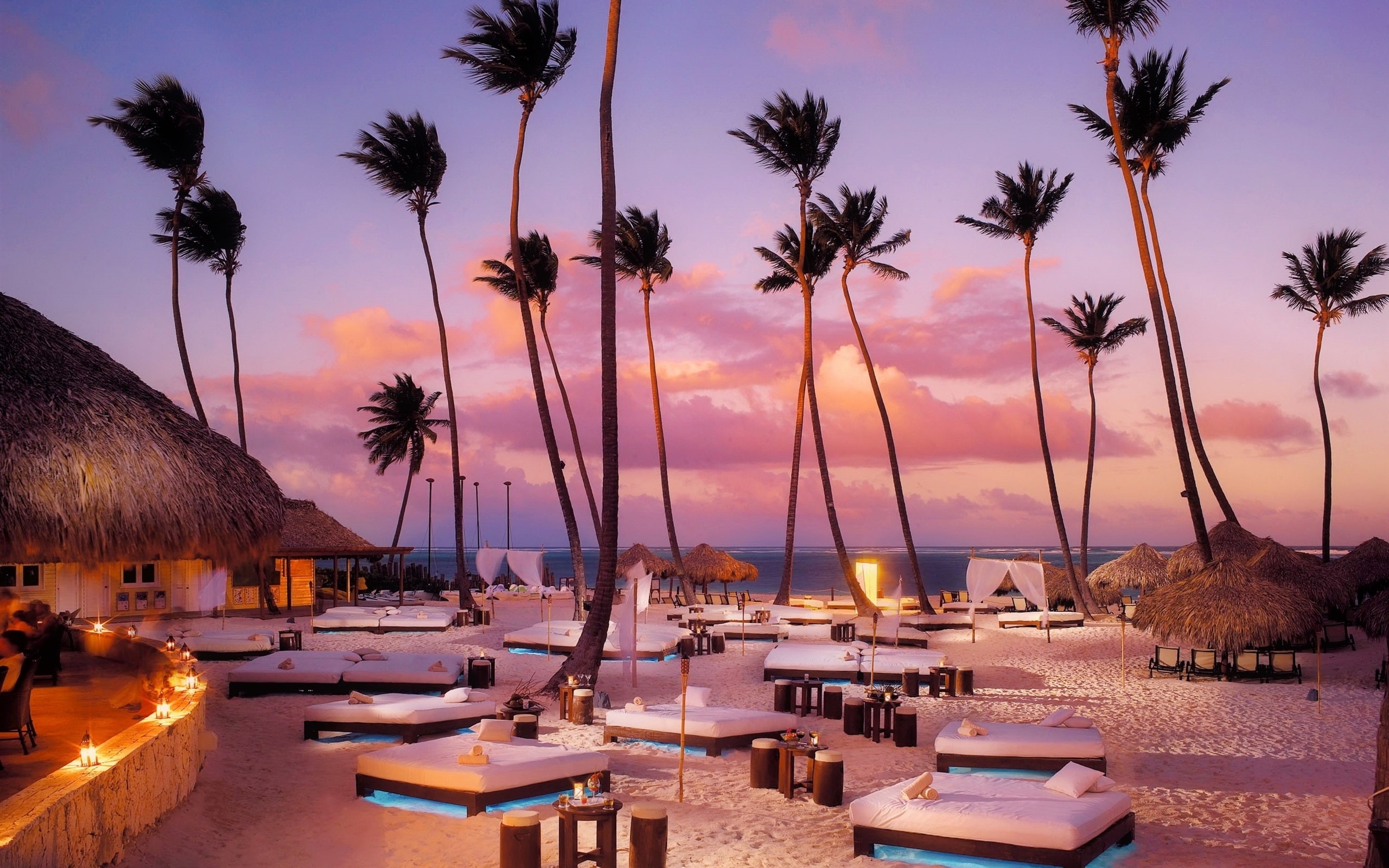 Trees, 2K, Ocean, Night, Sunbeds, Palm, Beach, HD Wallpaper