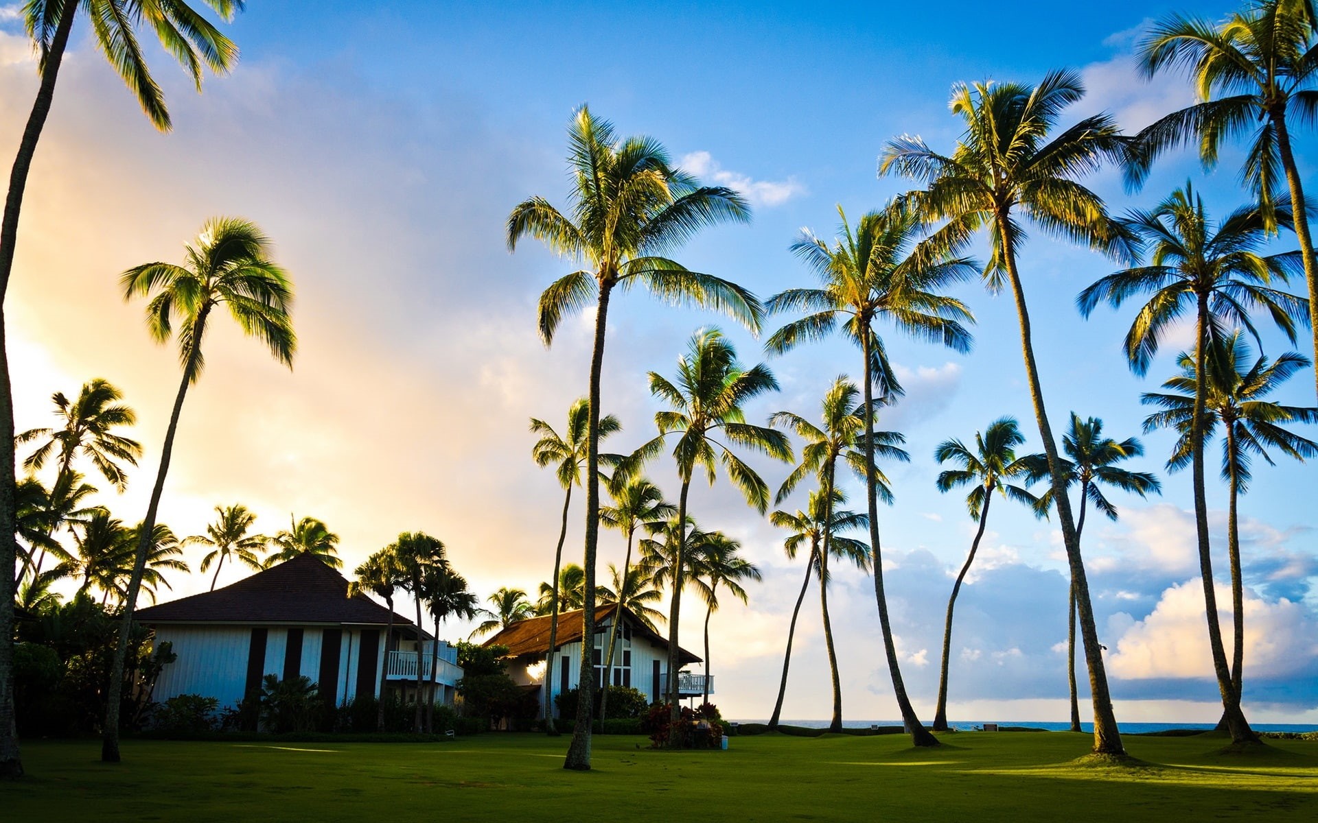 near, Beautiful, Summer, Tree, Kauai, Scenery, trees, beach, House, Palm, 1080P, Hawaii, HD Wallpaper
