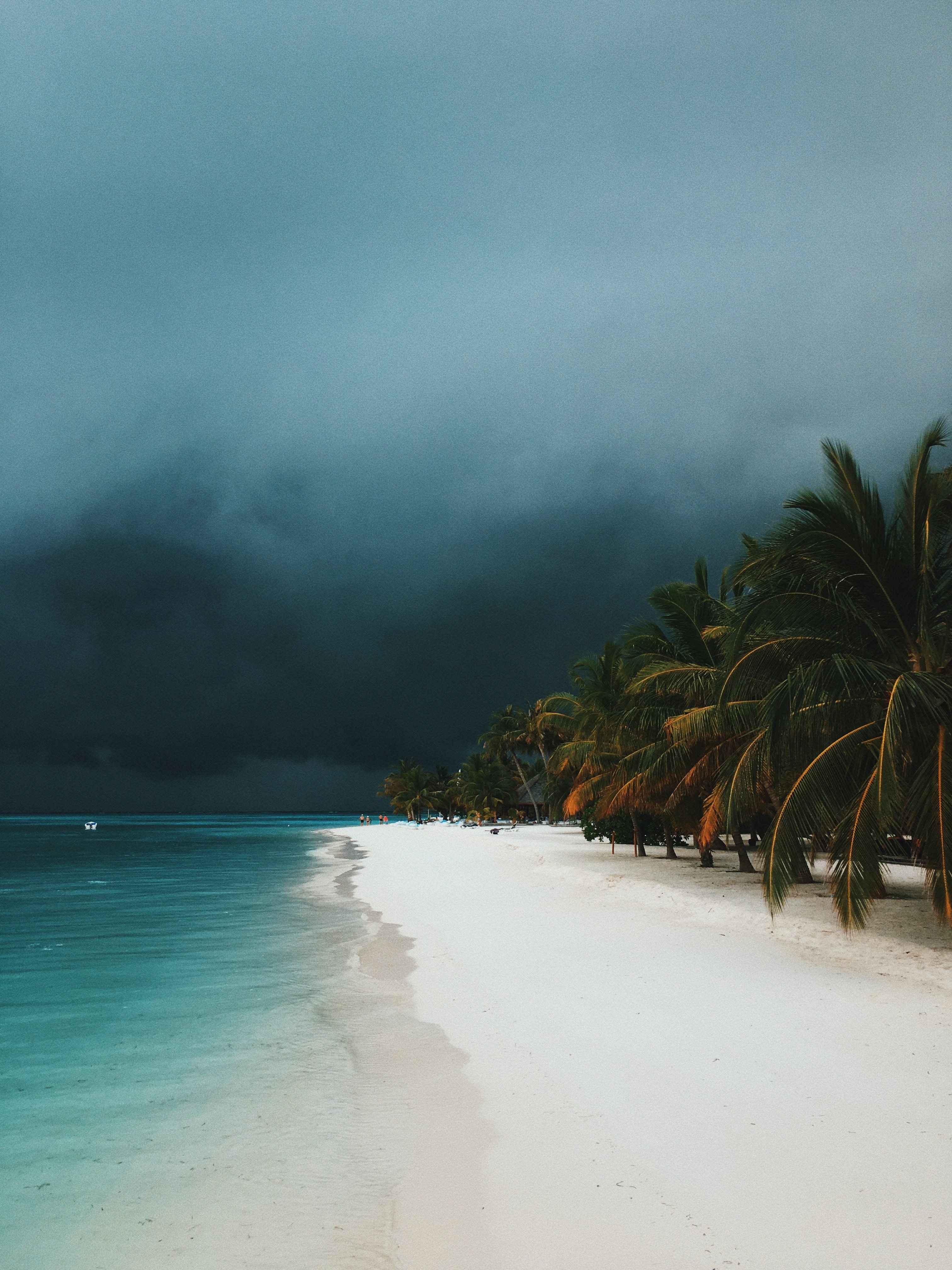 holiday island, beach, daytime, turquoise water, island, tree, sky, seashore, beauty in nature, tranquility, land, palm, sea, water, trees, no people, 4K, Phone HD Wallpaper