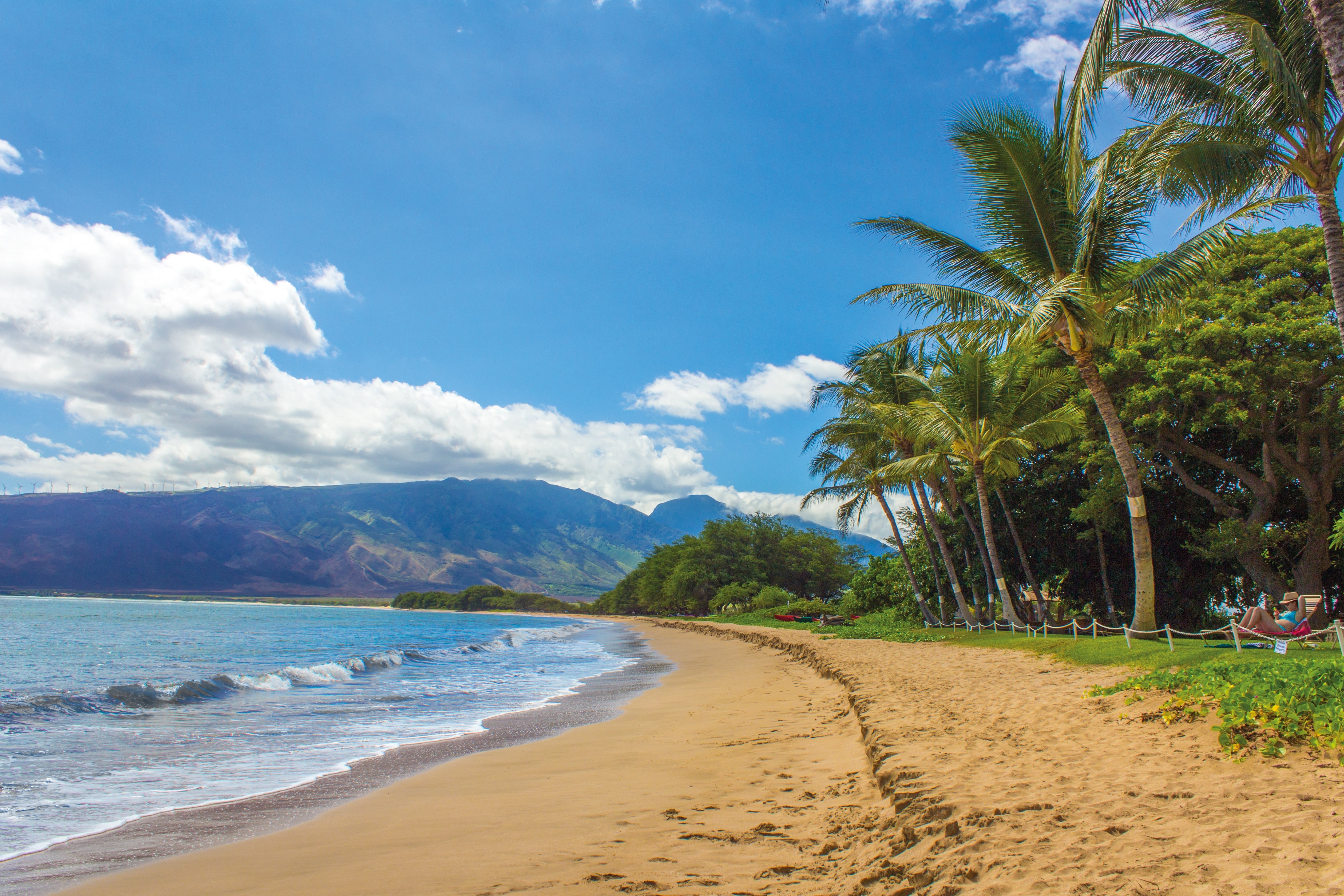 palm Tree, tranquility, green, island, nature, scenics, bay, tranquil scene, plant, trees, sky, land, hawaii, landscape, scenics - nature, travel, tropical tree, HD Wallpaper