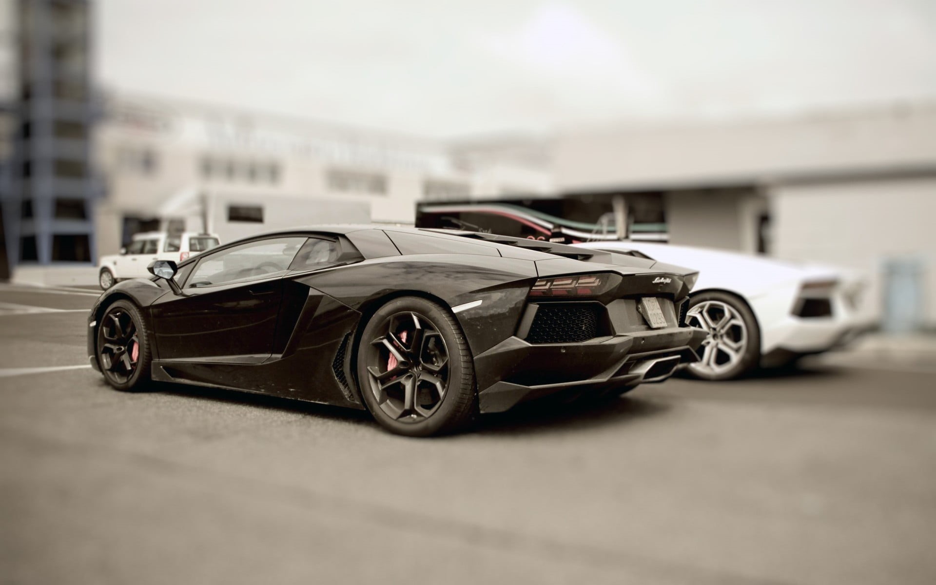 wealth, speed, wheel, 1080P, land vehicle, transportation, road, sports car, car, city, street, sport, people, modern, luxury, architecture, racecar, selective focus, HD Wallpaper