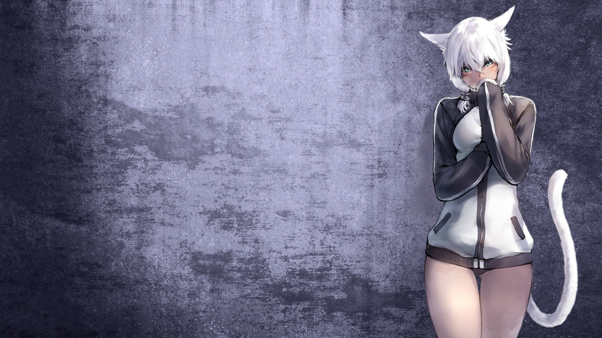 final fantasy xiv: a realm reborn, animal ears, ears, xiv, final fantasy, tail, shtola, fantasy, 1080P, yshtola, y, reborn, realm, animal, final, HD Wallpaper