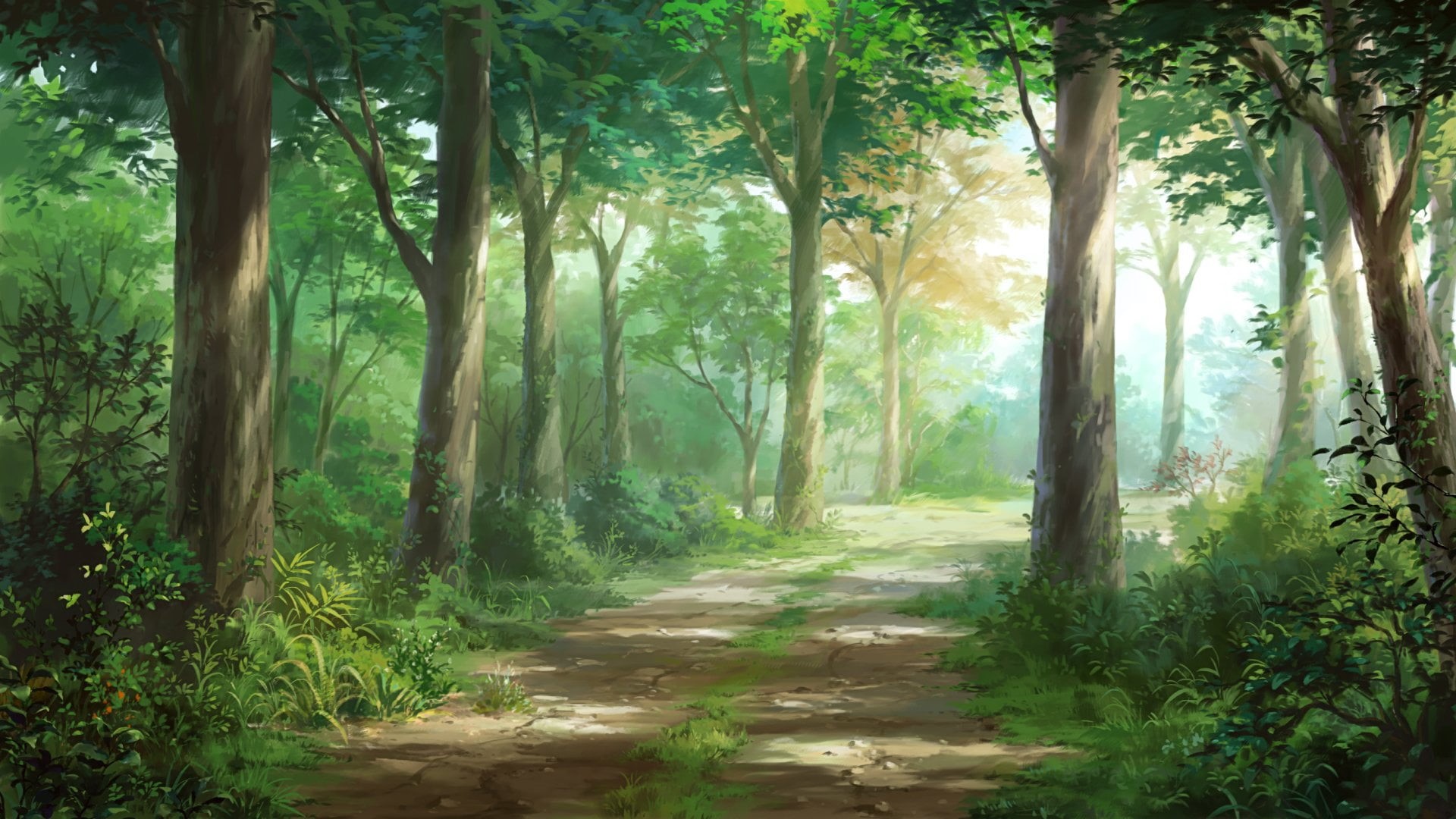 trail, trunk, forest, Path, no people, woodland, direction, tranquil scene, tree trunk, outdoors, footpath, Original, sunlight, green color, plant, day, HD Wallpaper